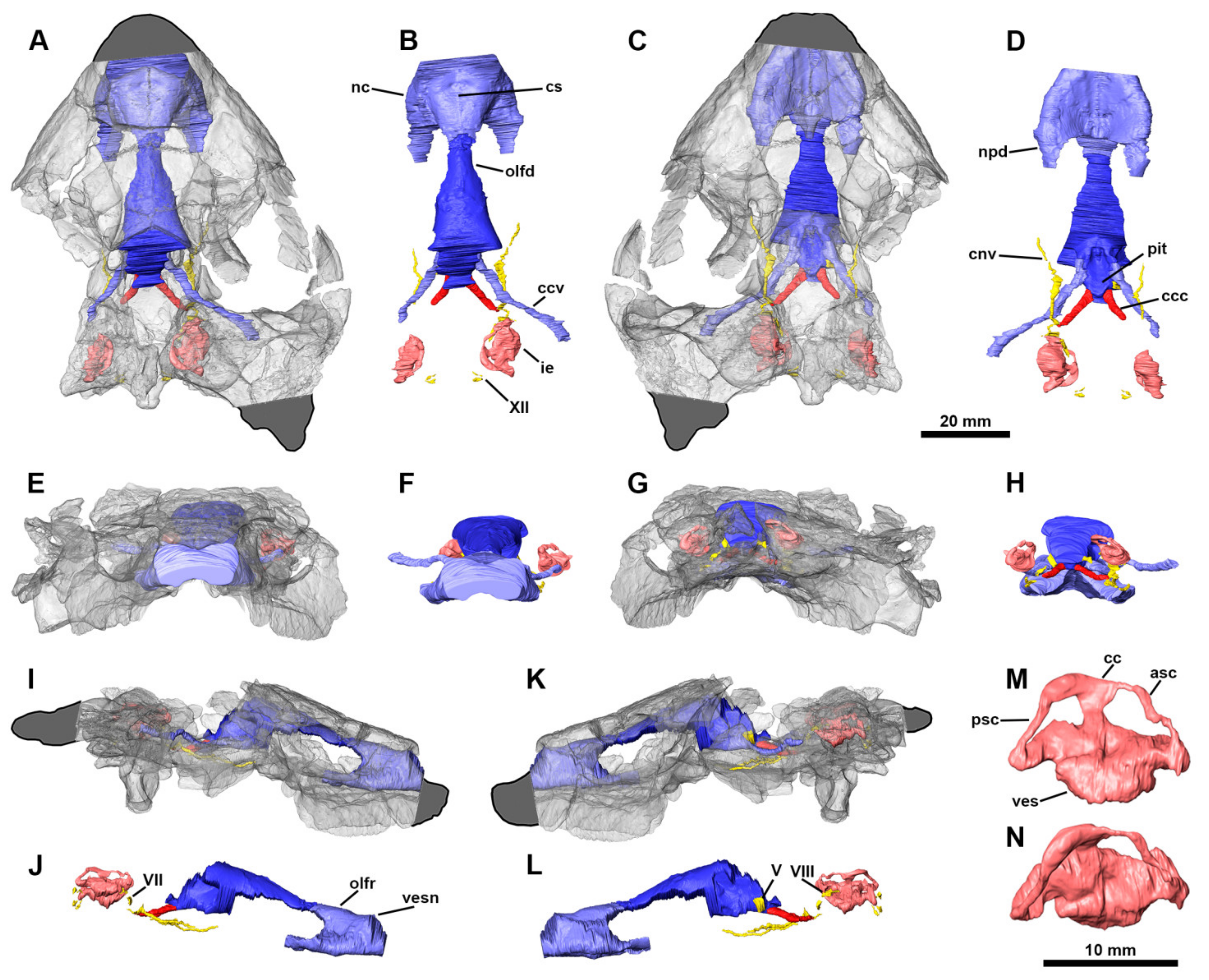 Diversity 13 00298 g004 550