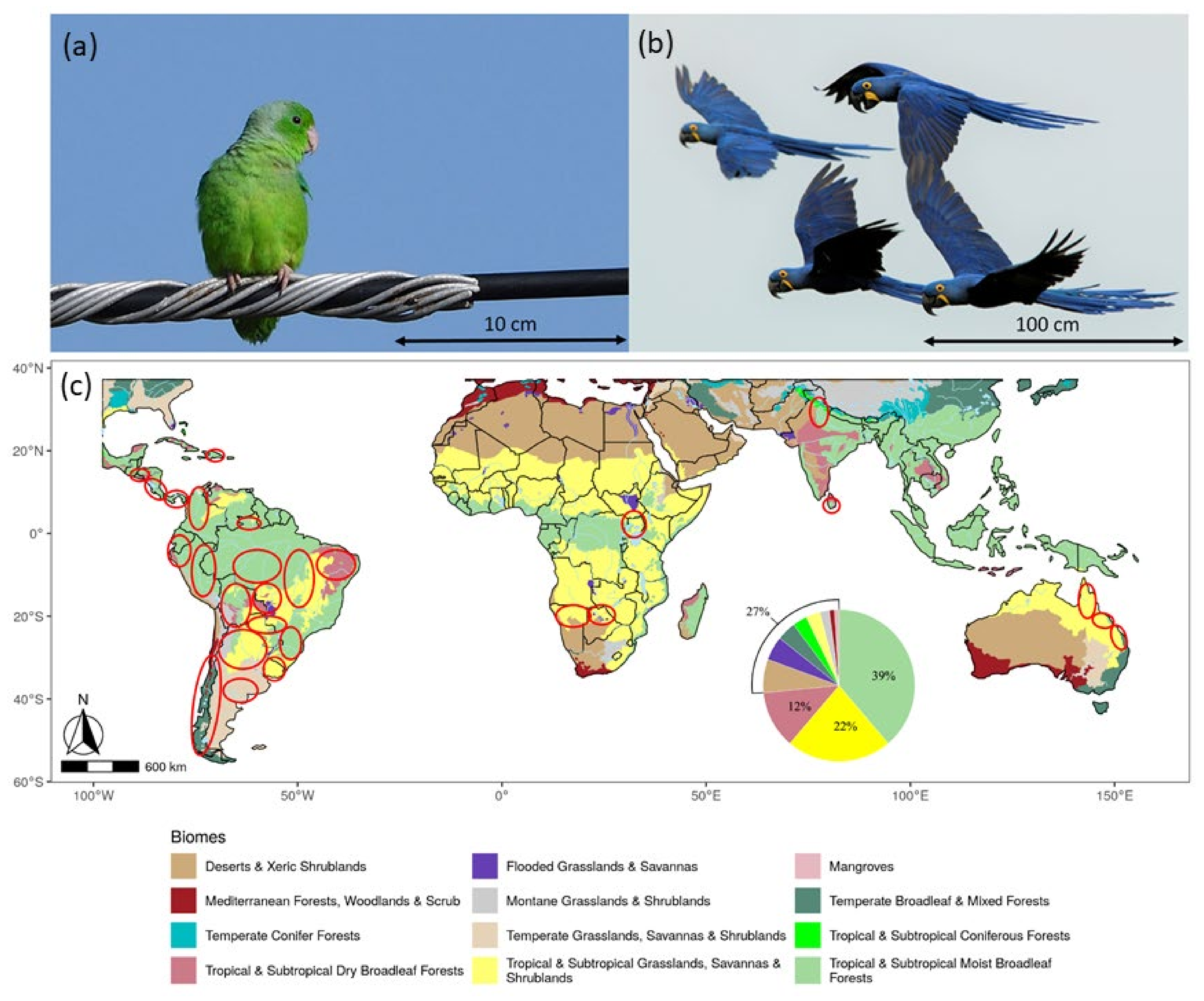 Diversity 13 00300 g001 Diversity 13 00300 g001