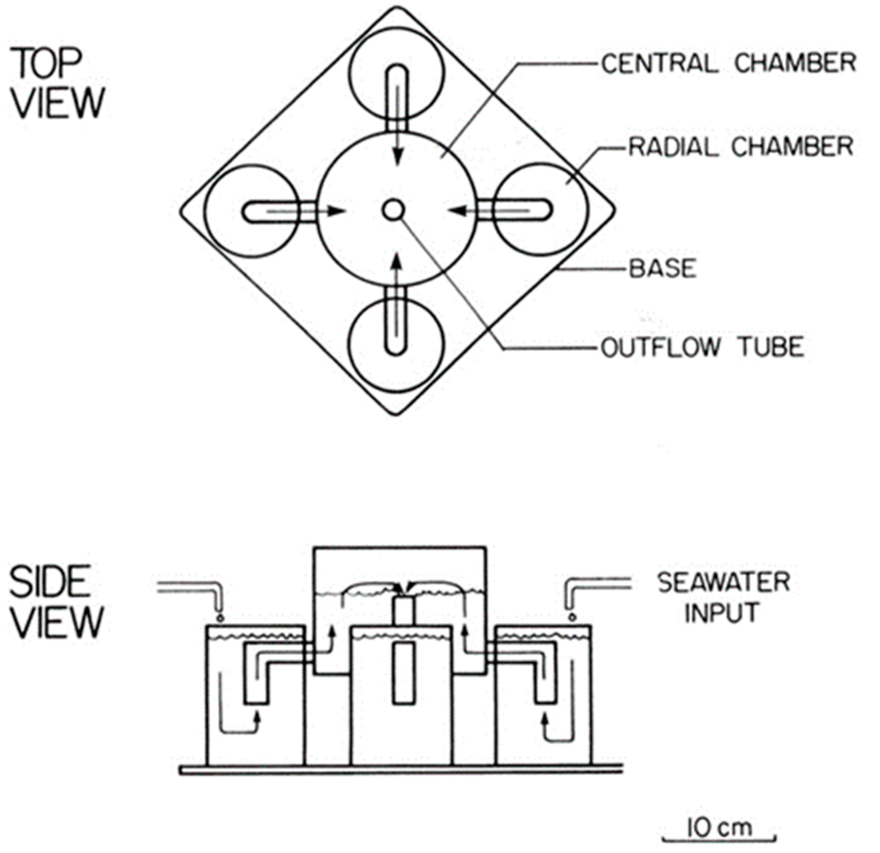 Diversity 13 00305 g001