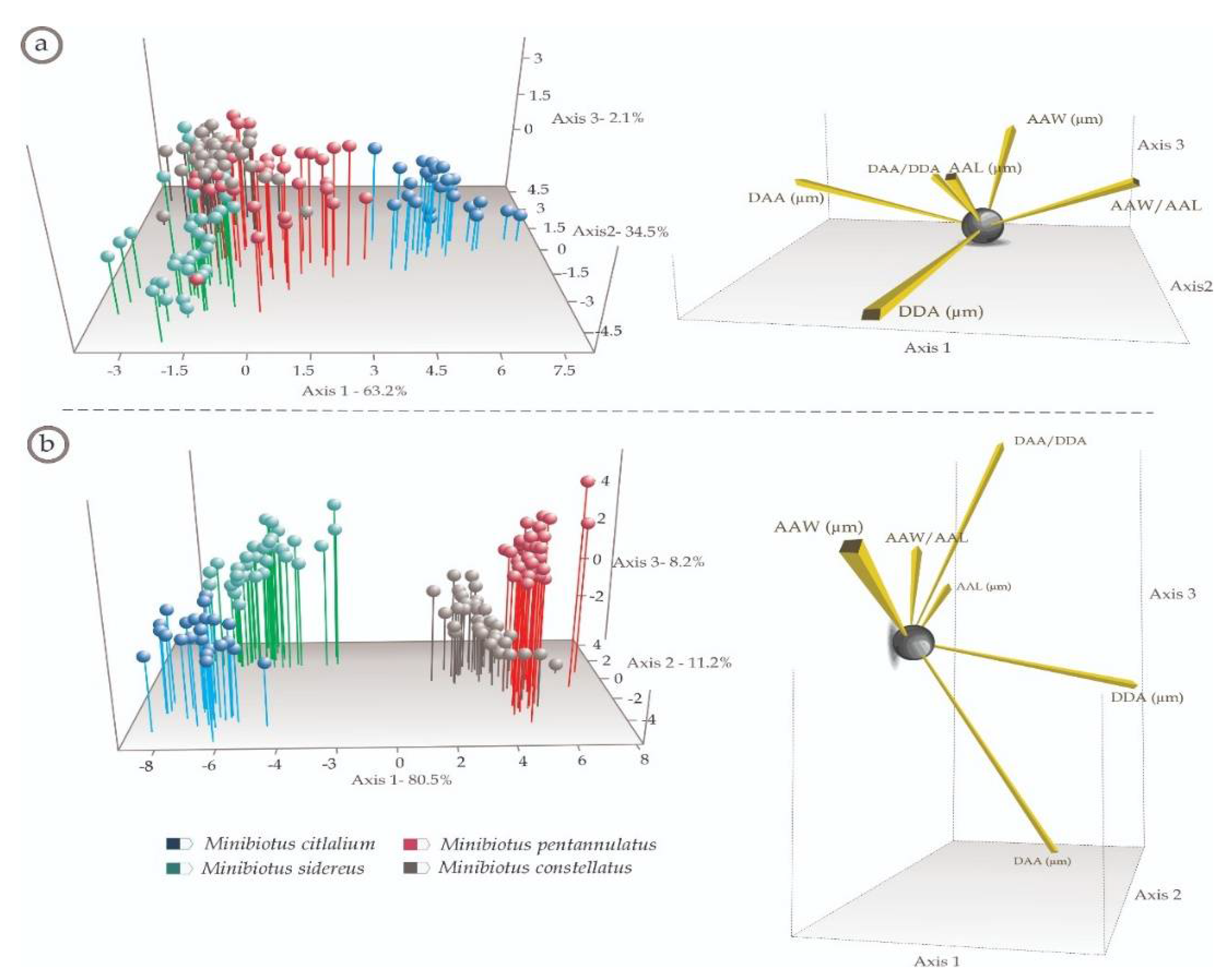 Diversity 13 00307 g005