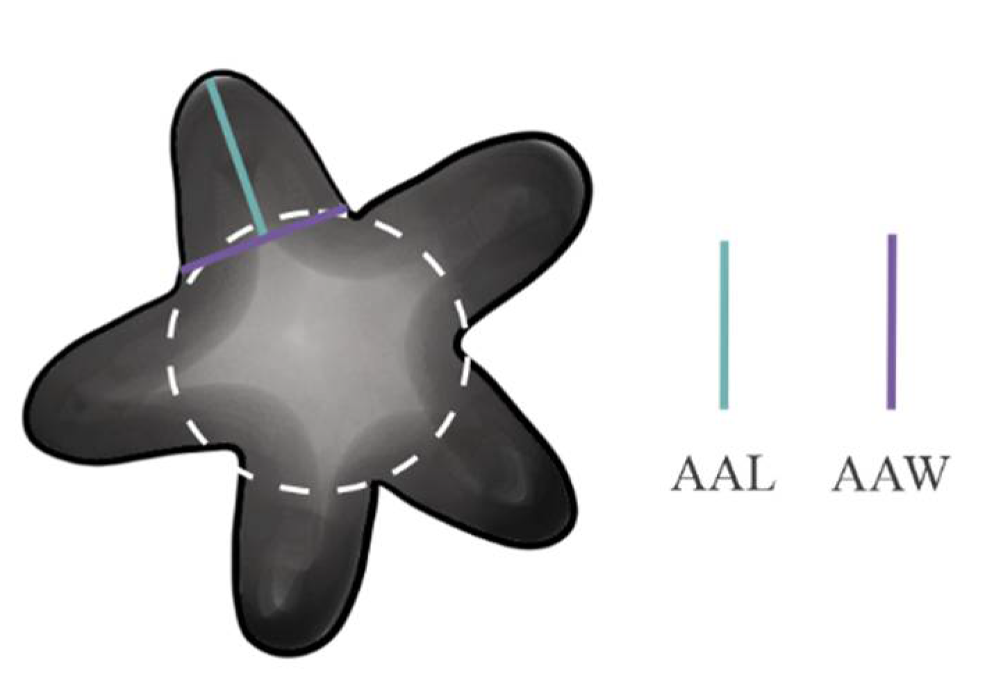 Diversity 13 00307 g012