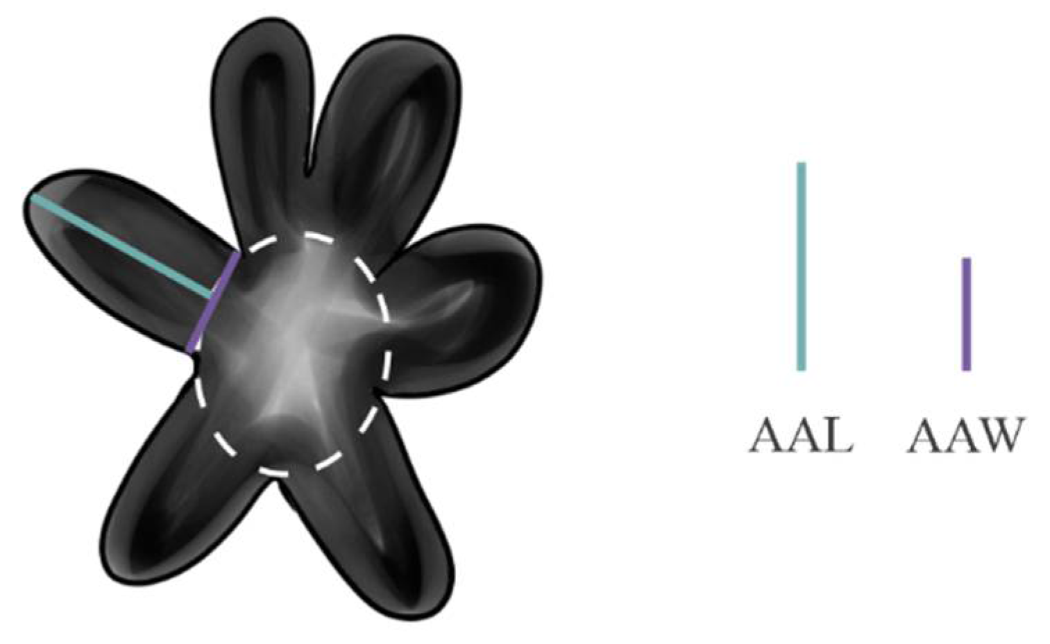 Diversity 13 00307 g013