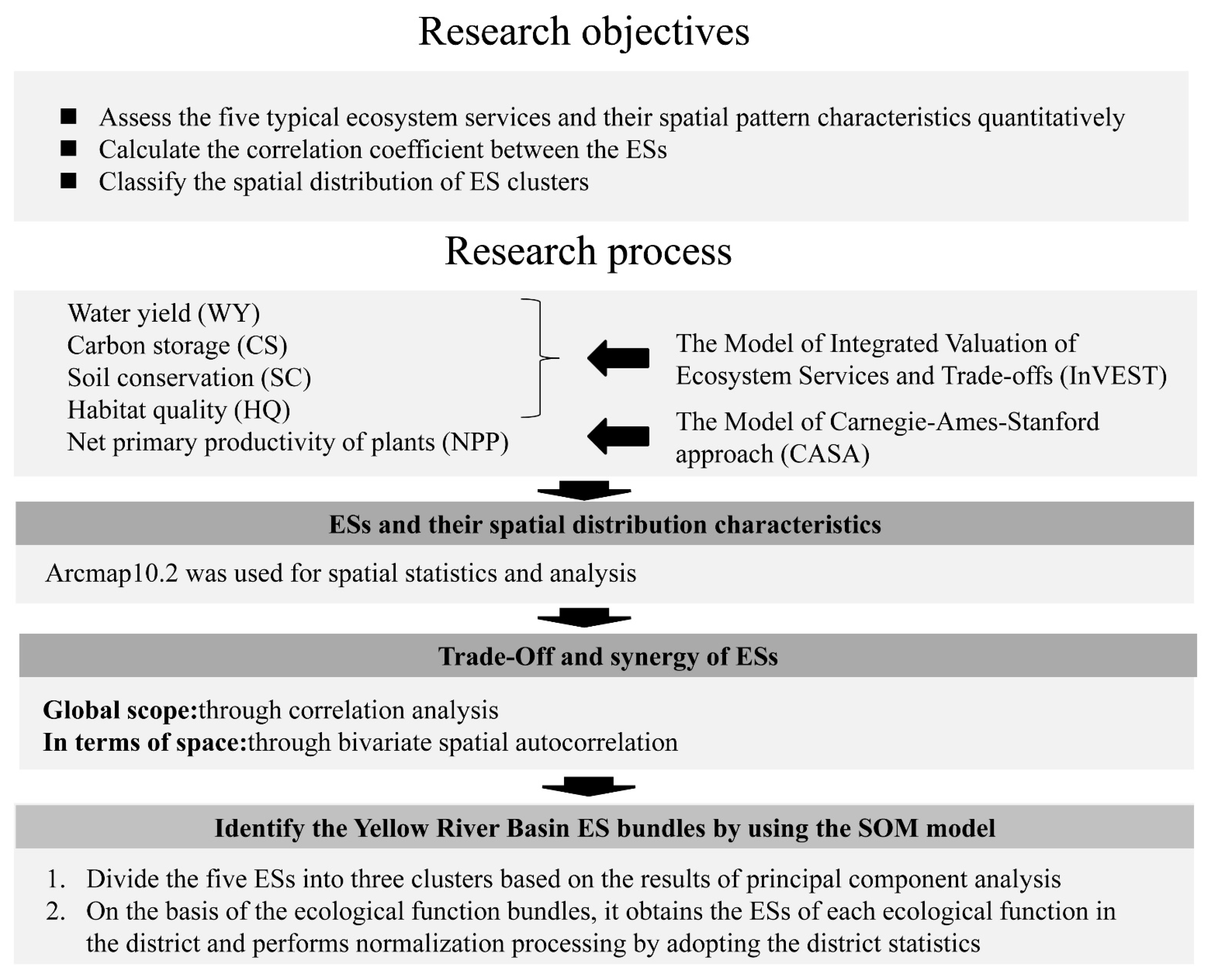 Diversity 13 00308 g001