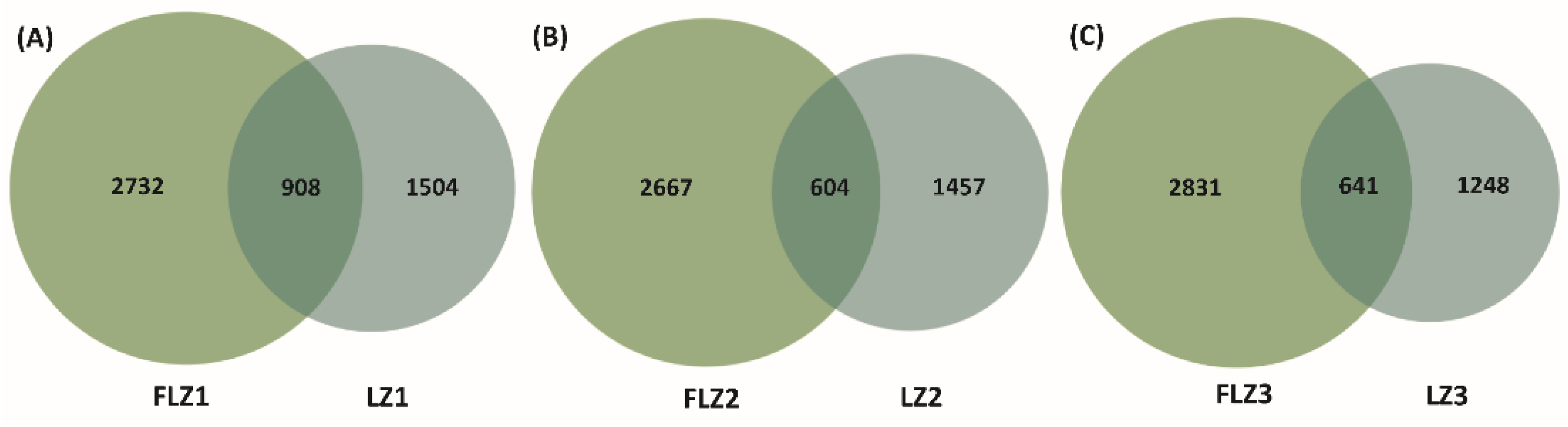 Diversity 13 00317 g002