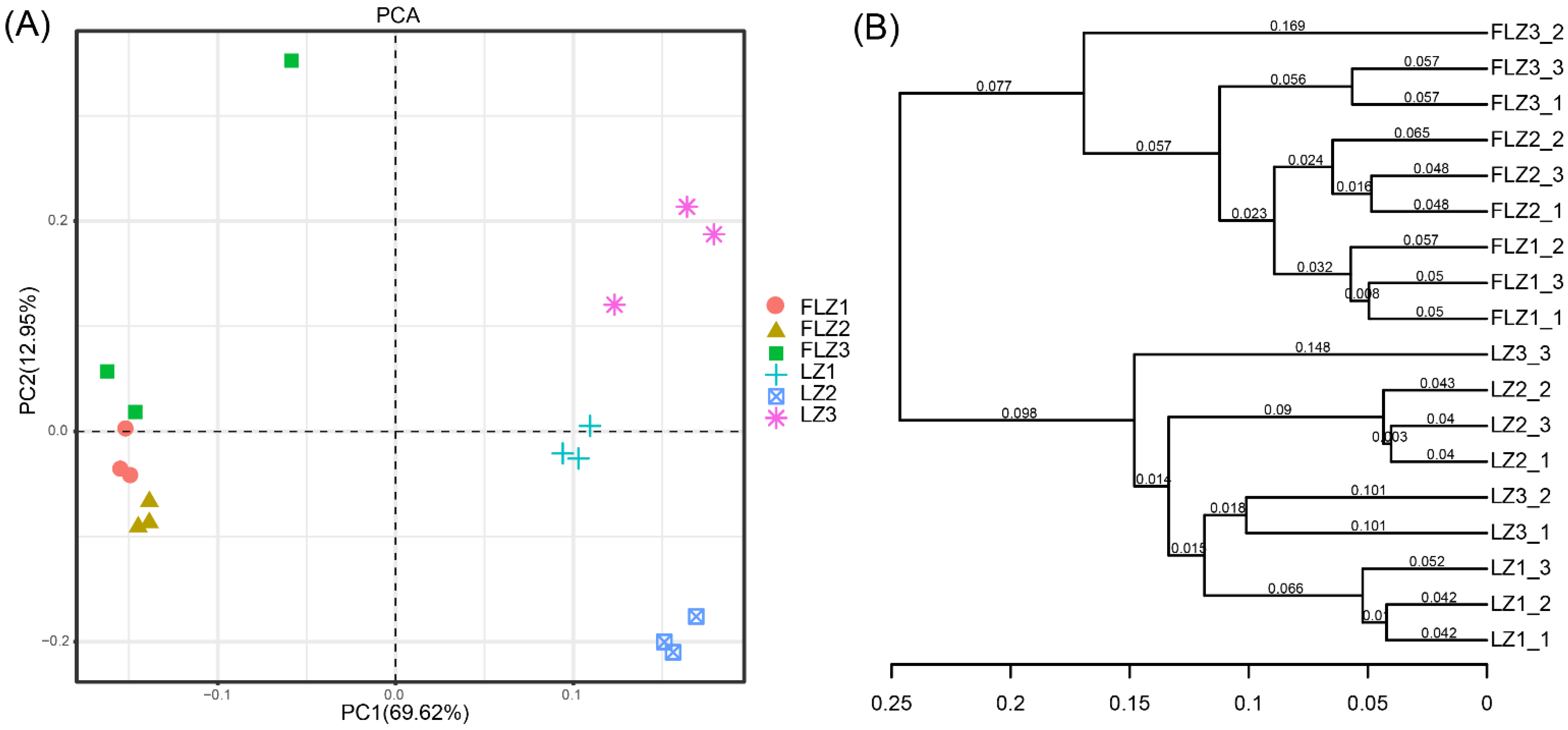 Diversity 13 00317 g003