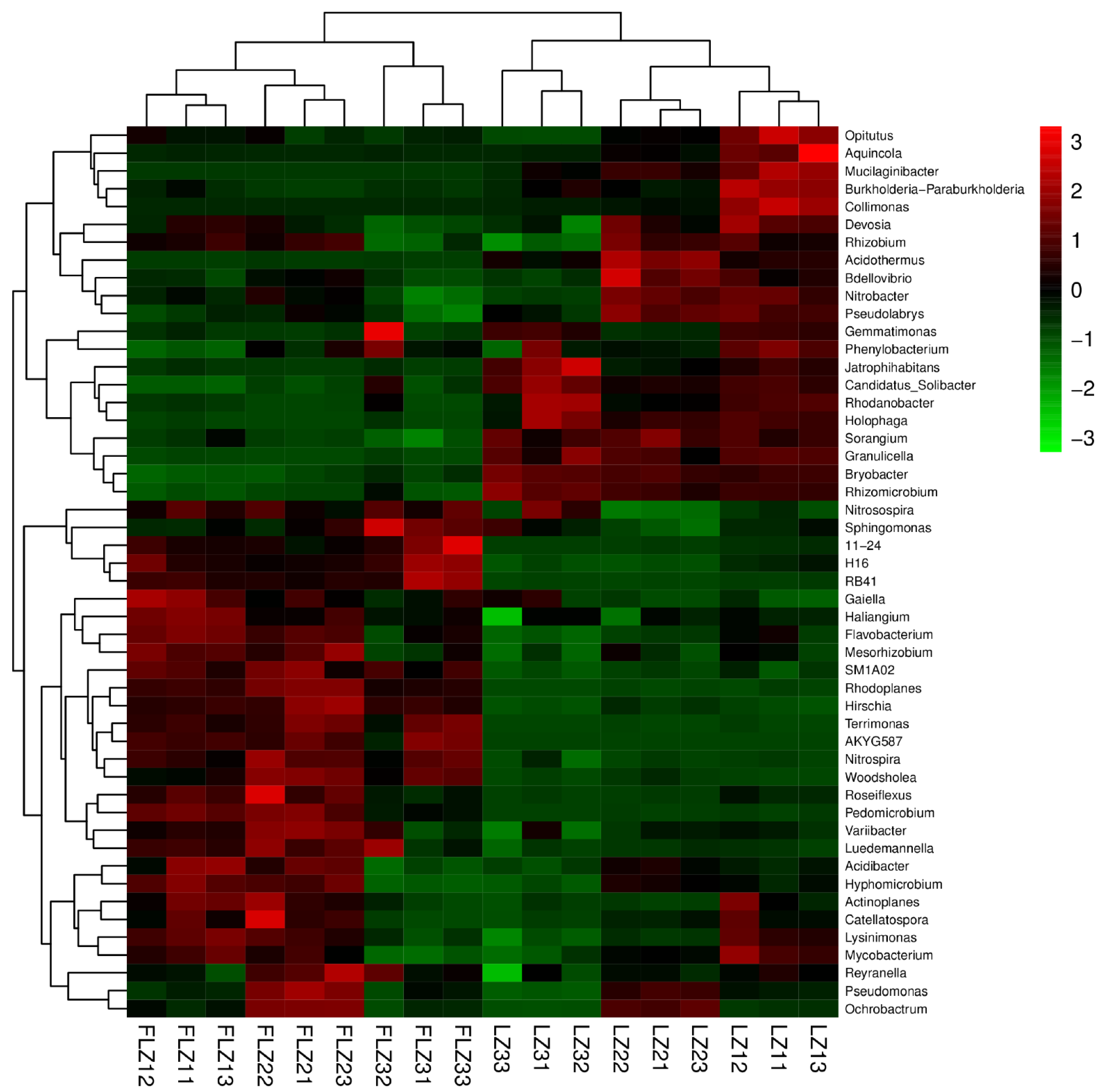 Diversity 13 00317 g004