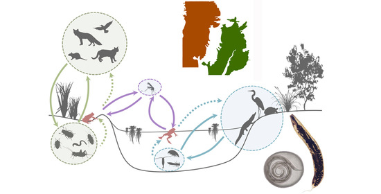 Diversity | Special Issue : Diversity and Ecological Impact of ...