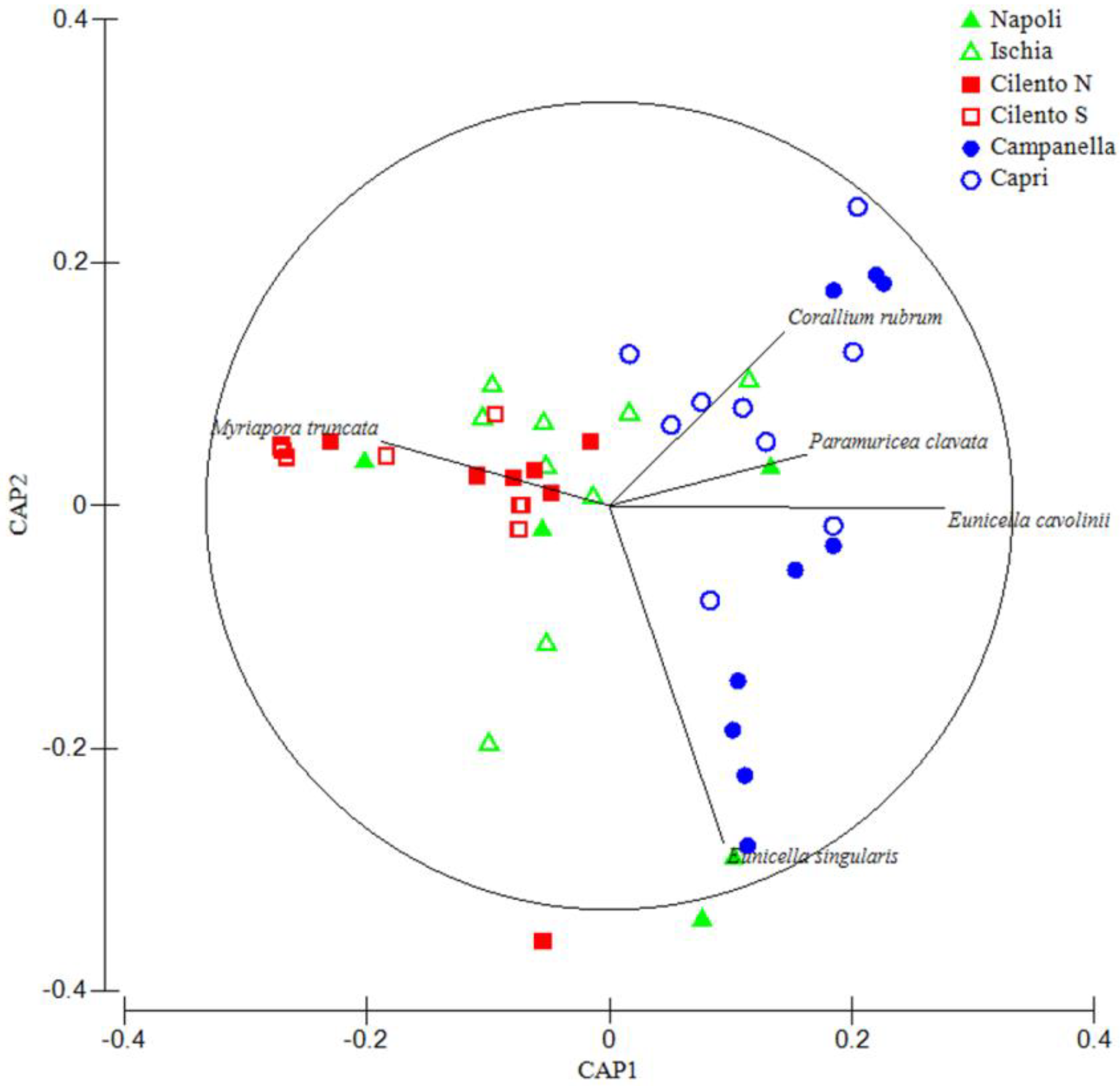 Diversity 13 00331 g004 550