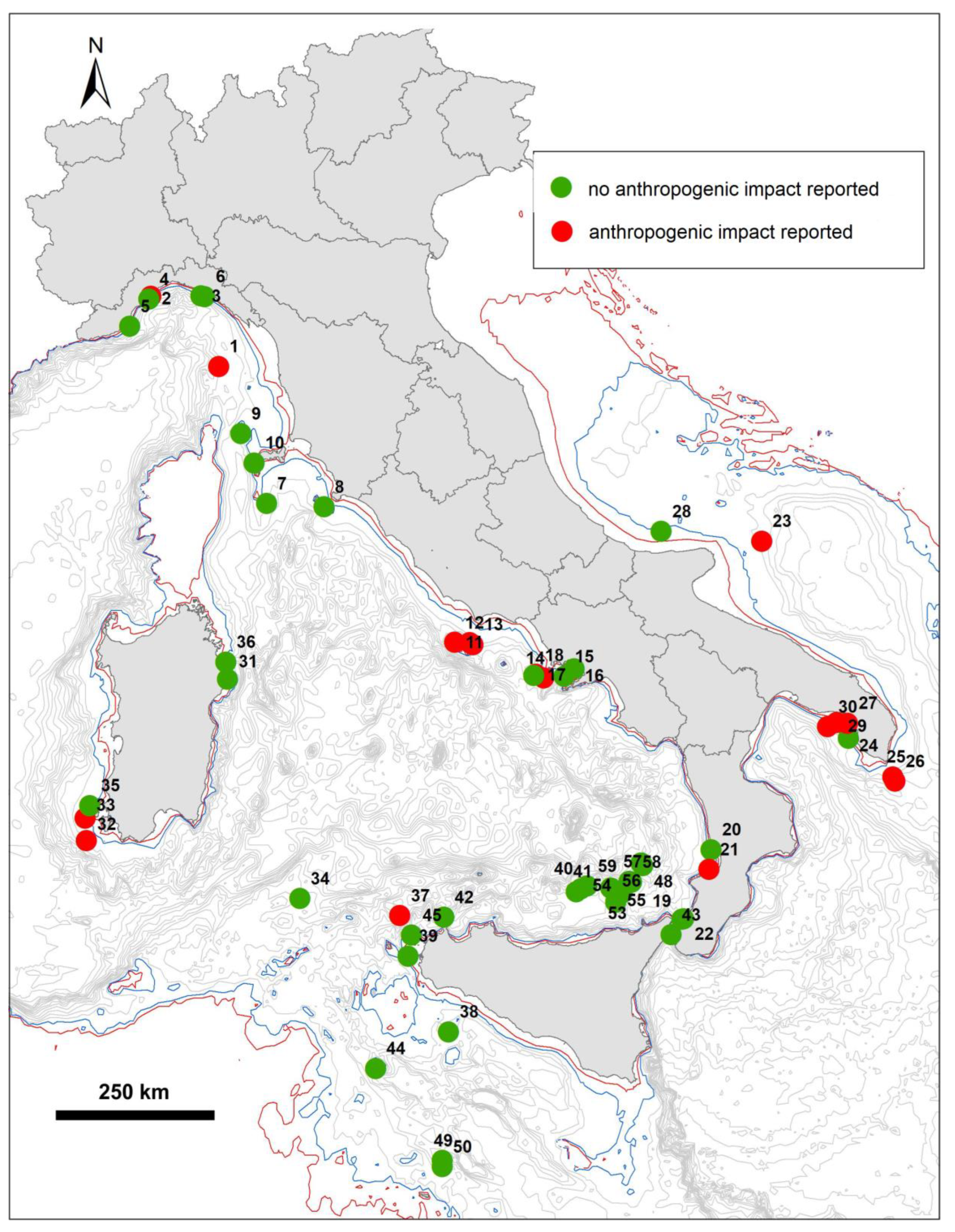Diversity 13 00334 g005