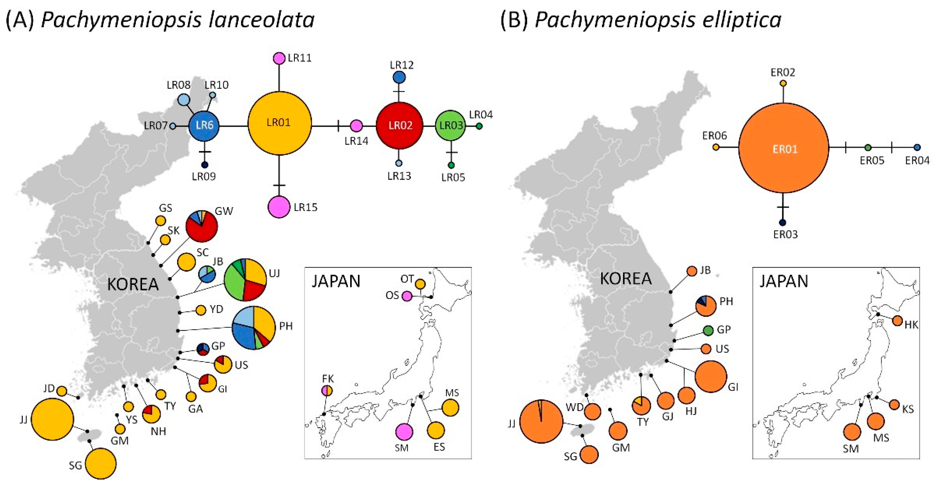 Diversity 13 00336 g003 550