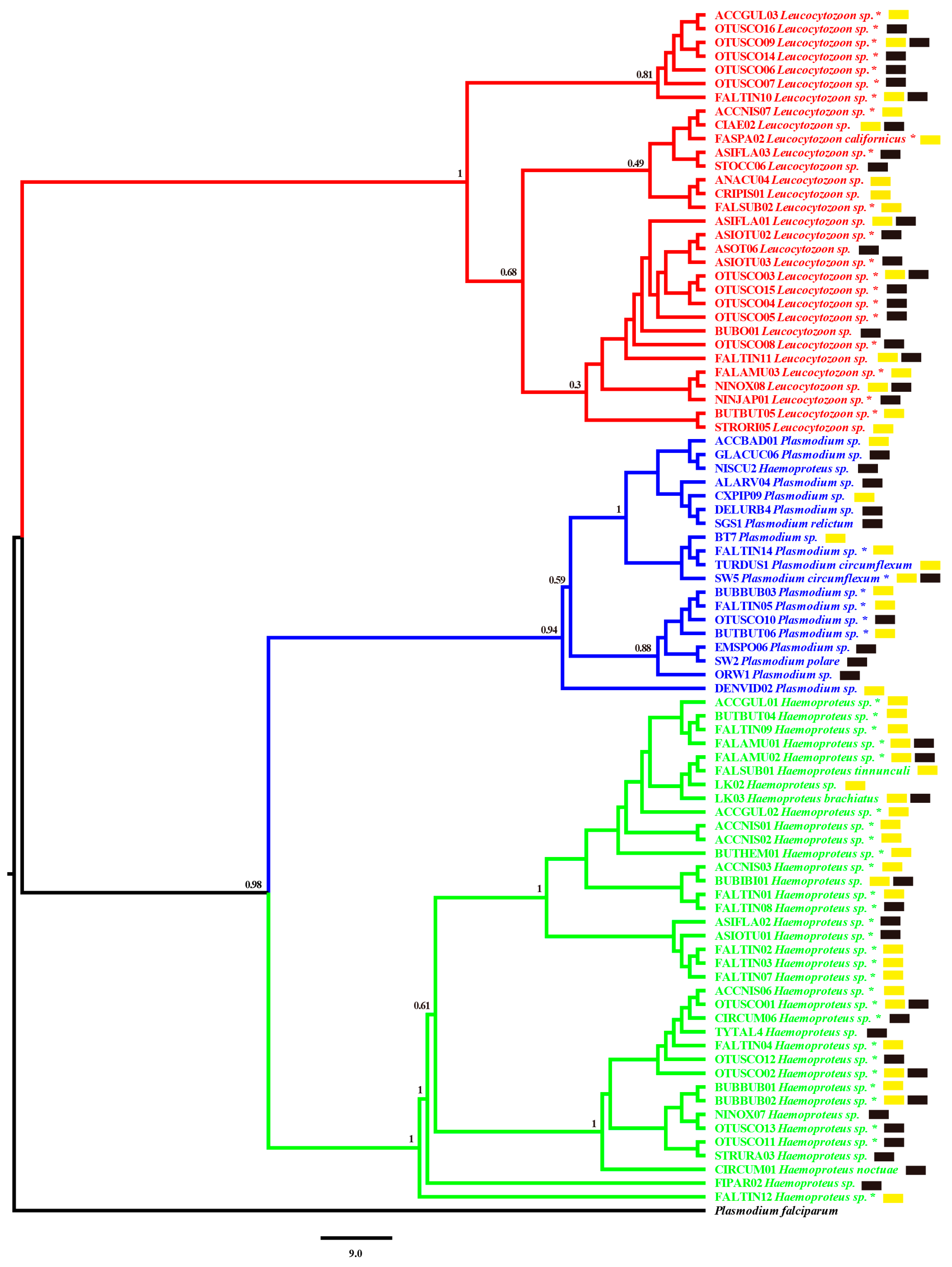 Diversity 13 00338 g001