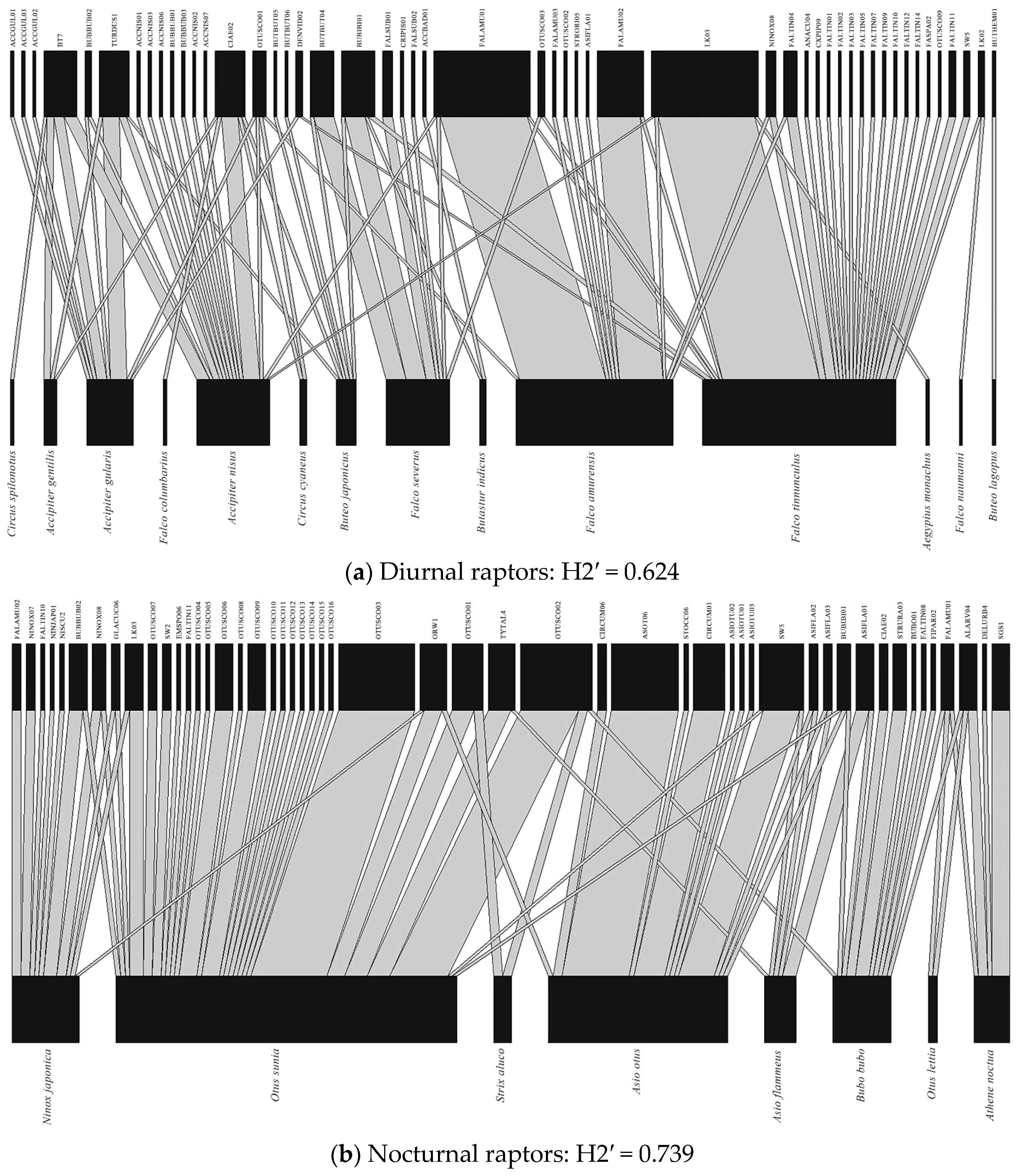 Diversity 13 00338 g002