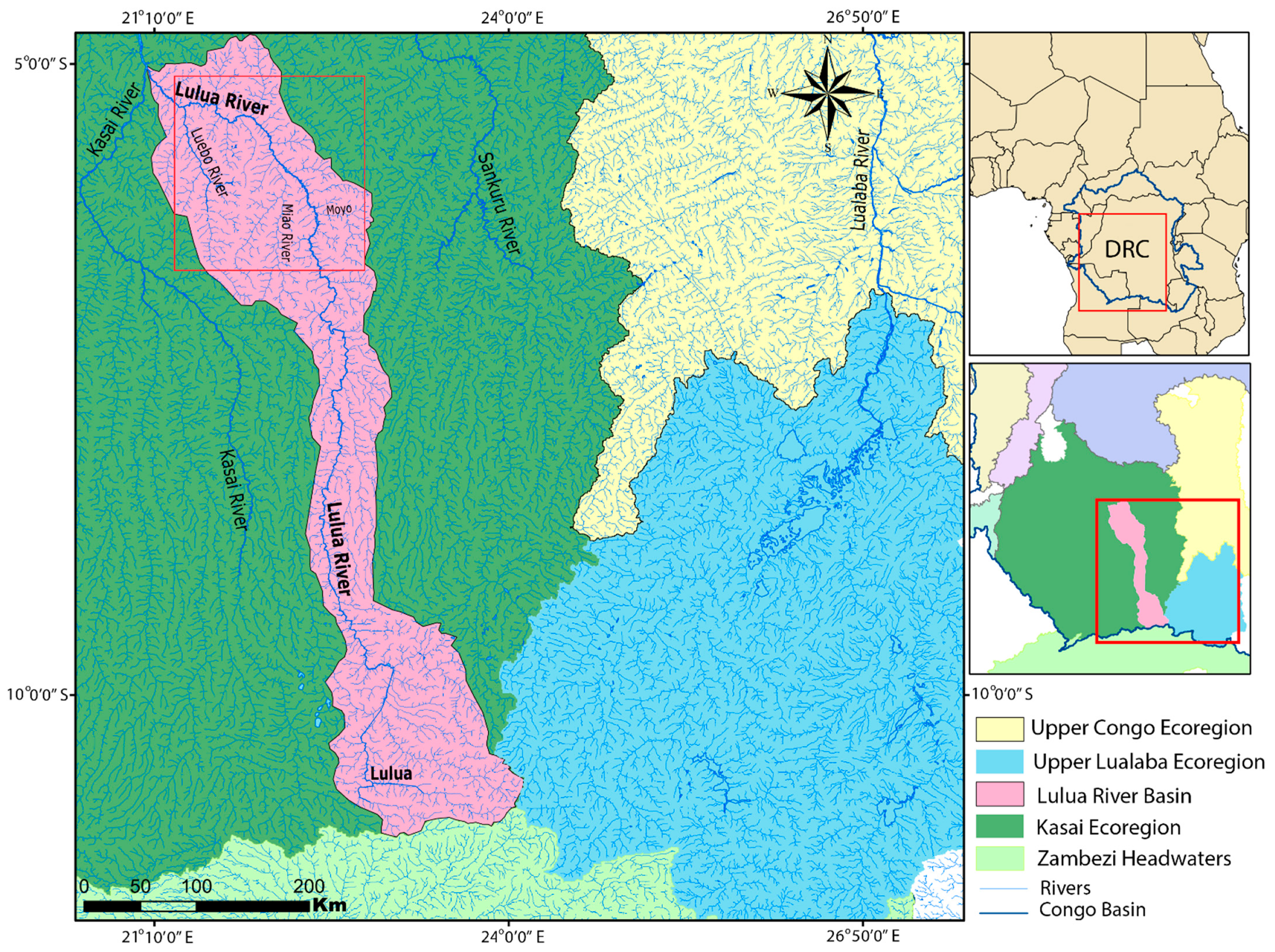 Diversity 13 00341 g001