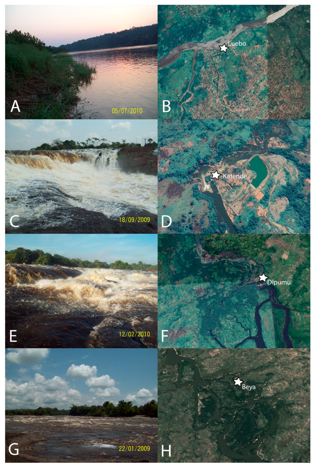 Diversity 13 00341 g0a1