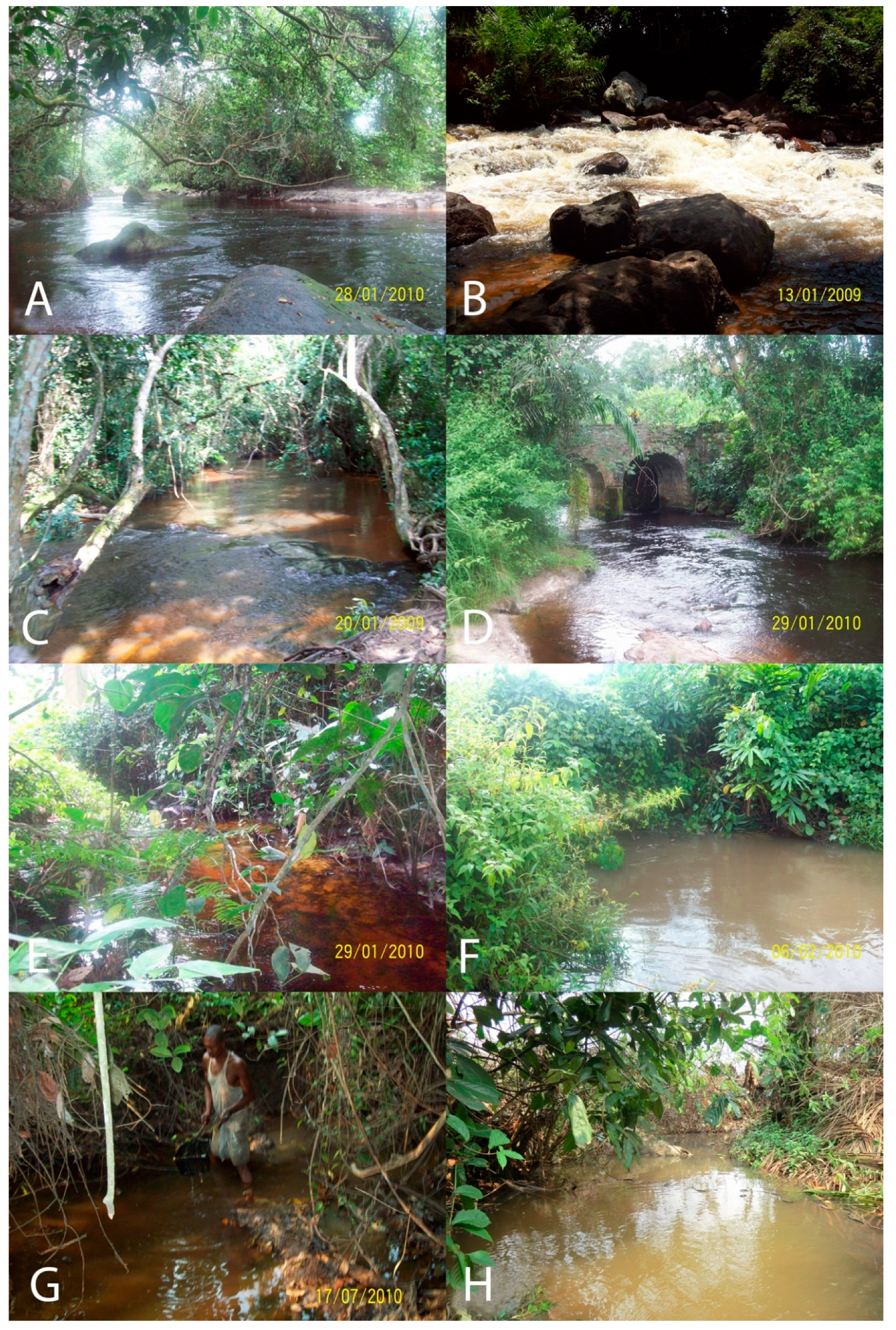 Diversity 13 00341 g0a2