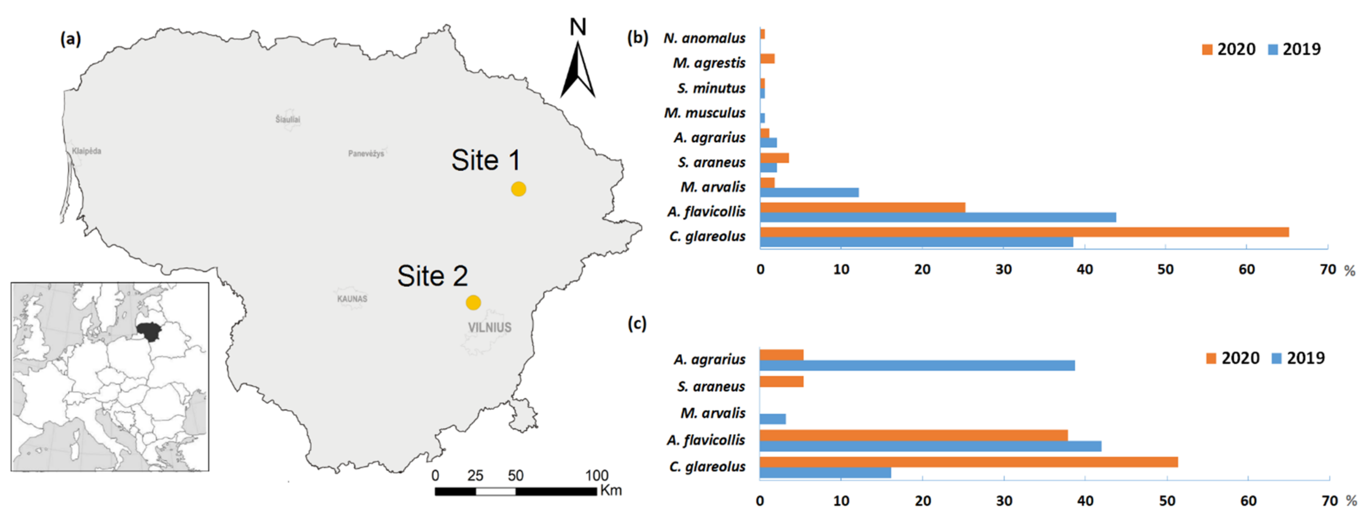 Diversity 13 00346 g001