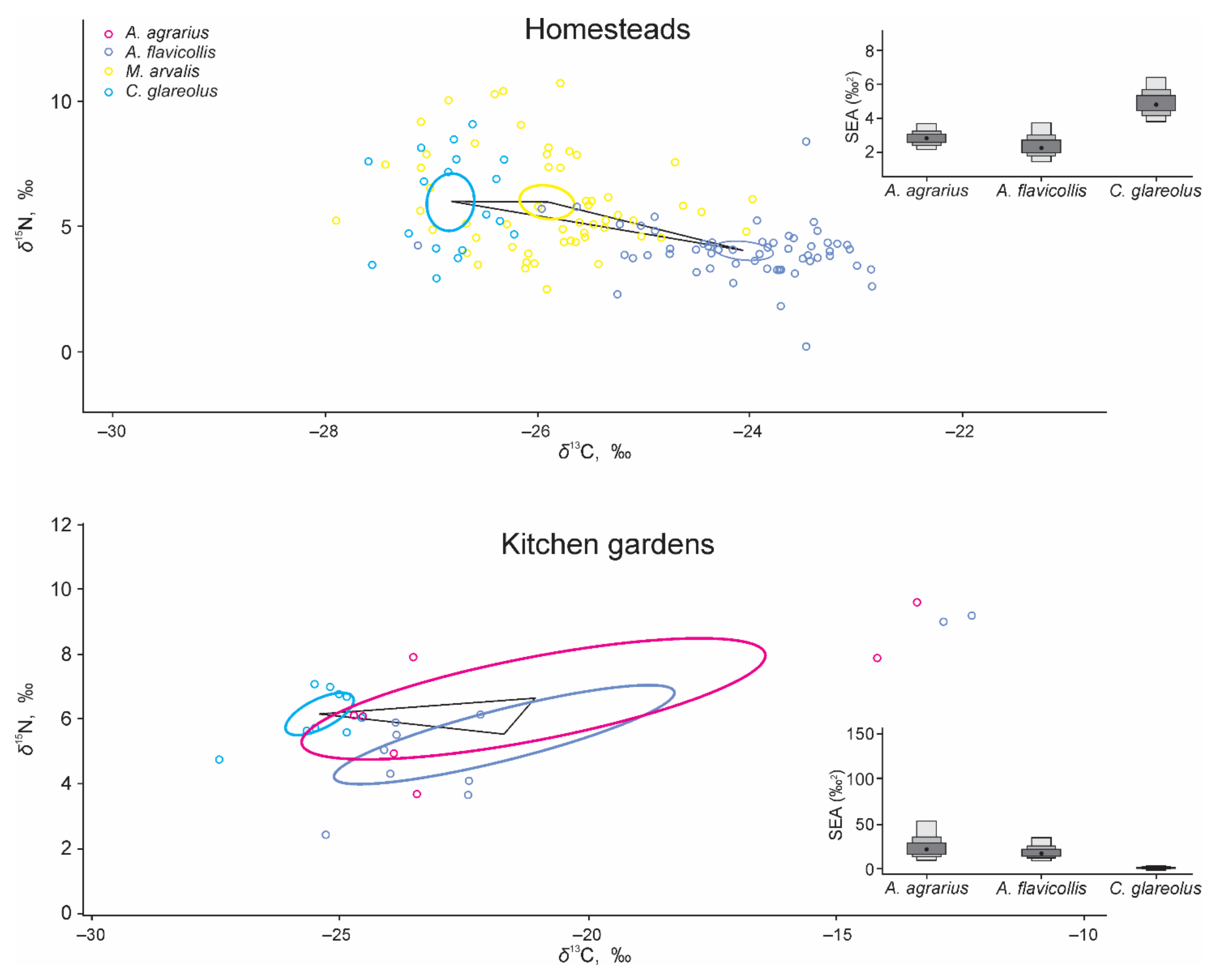 Diversity 13 00346 g003