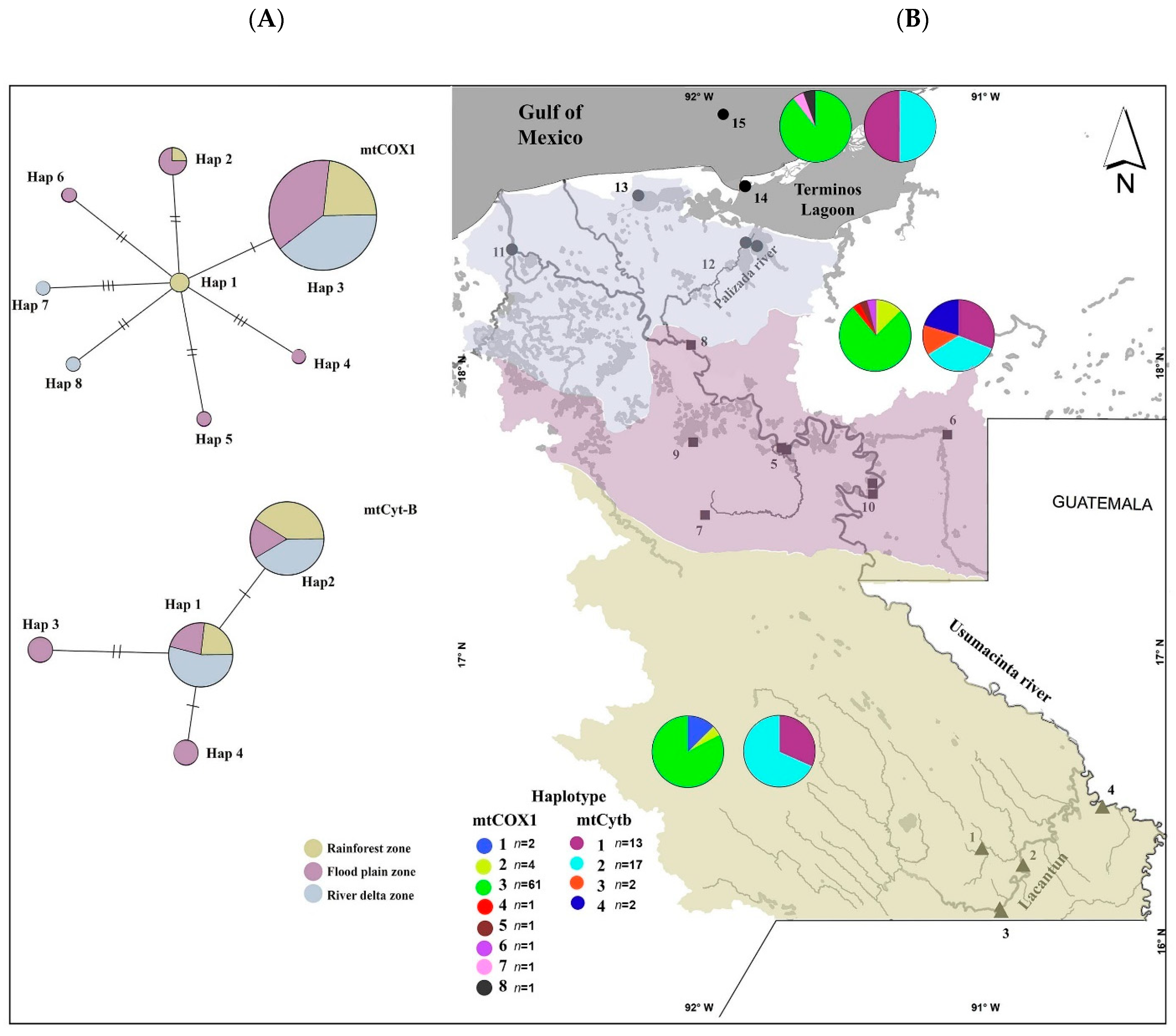 Diversity 13 00347 g002 Diversity 13 00347 g002