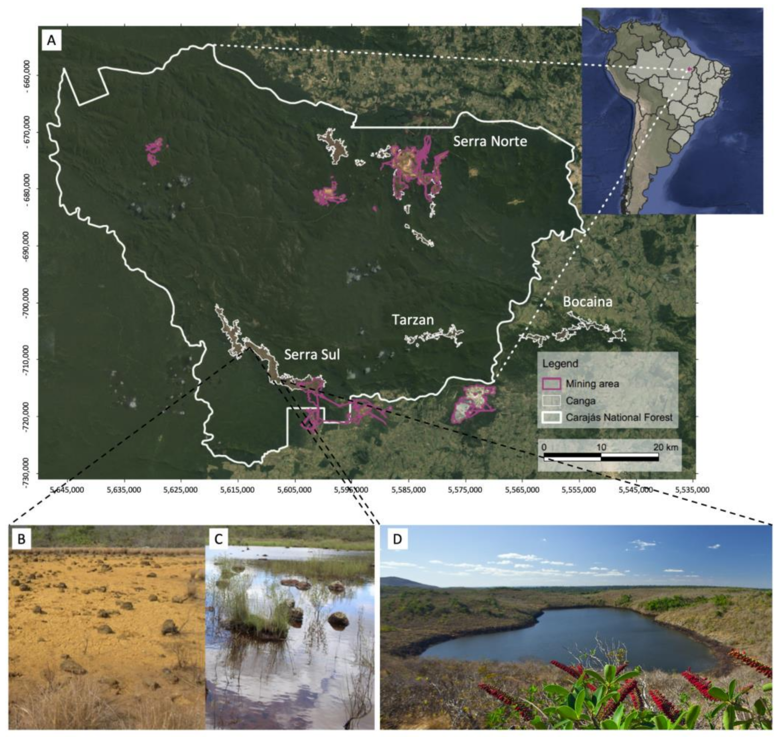 Diversity 13 00348 g001 550