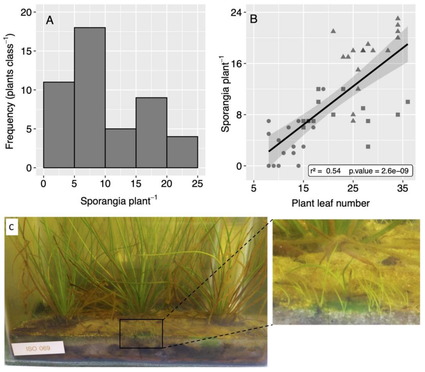 Diversity 13 00348 g005 550