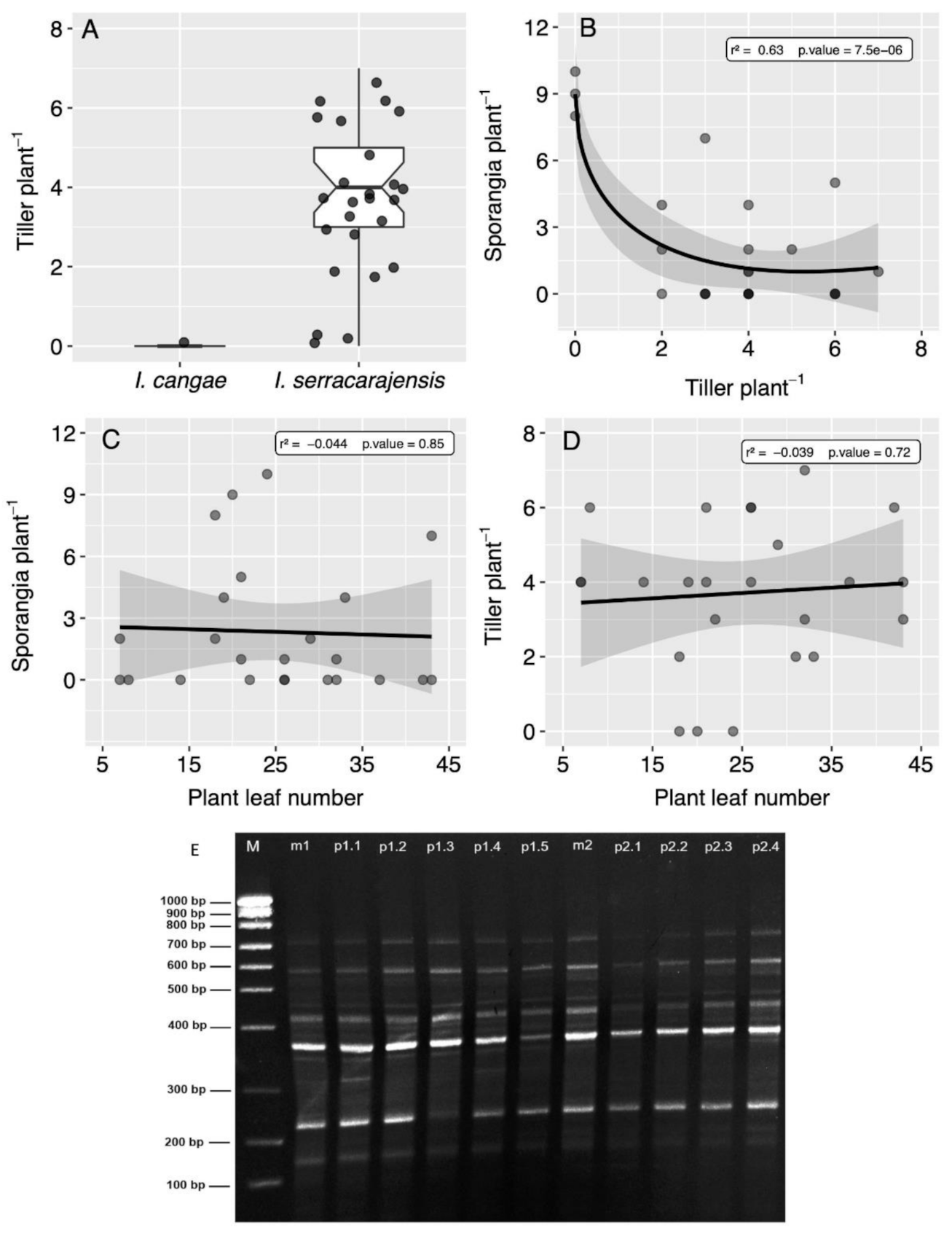 Diversity 13 00348 g006 550