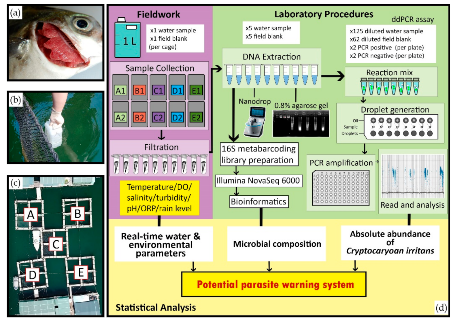 Diversity 13 00350 g001 Diversity 13 00350 g001