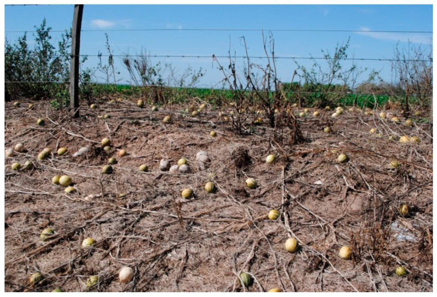 Diversity 13 00354 g001 Diversity 13 00354 g001