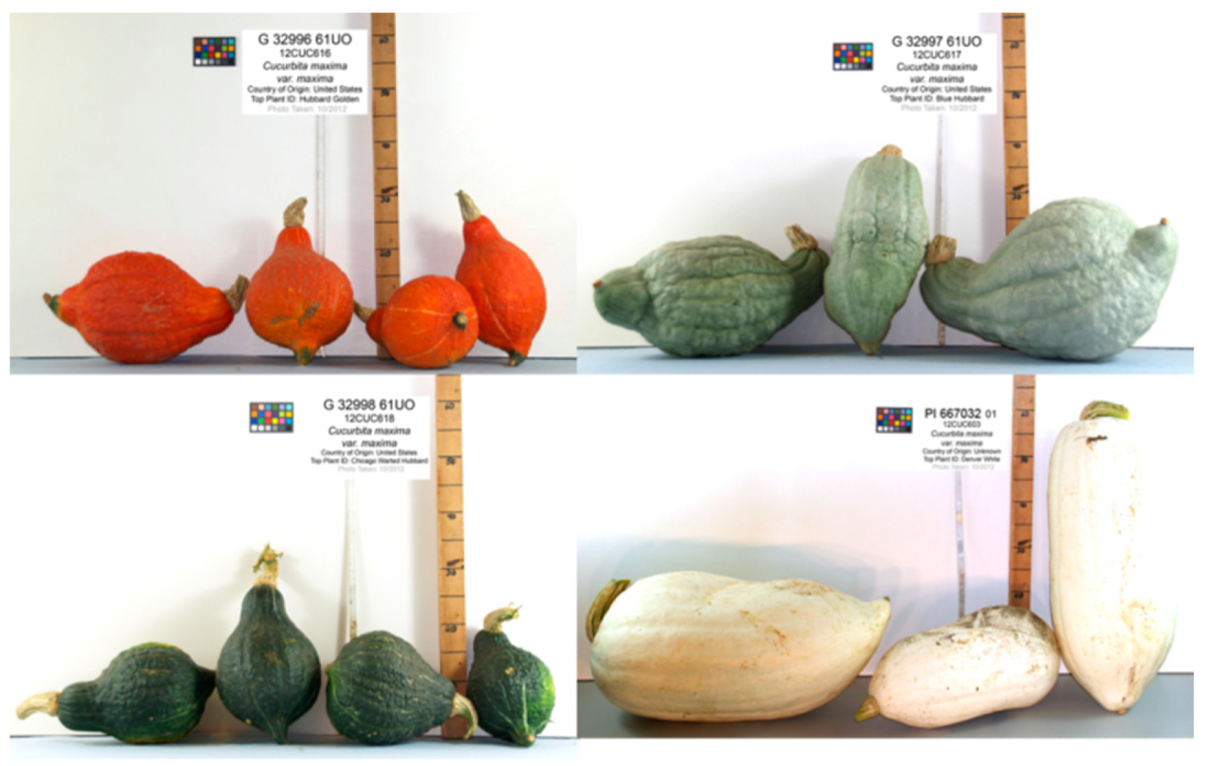 Diversity 13 00354 g003 Diversity 13 00354 g003