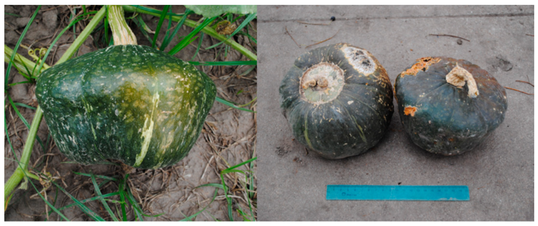 Diversity 13 00354 g007 Diversity 13 00354 g007