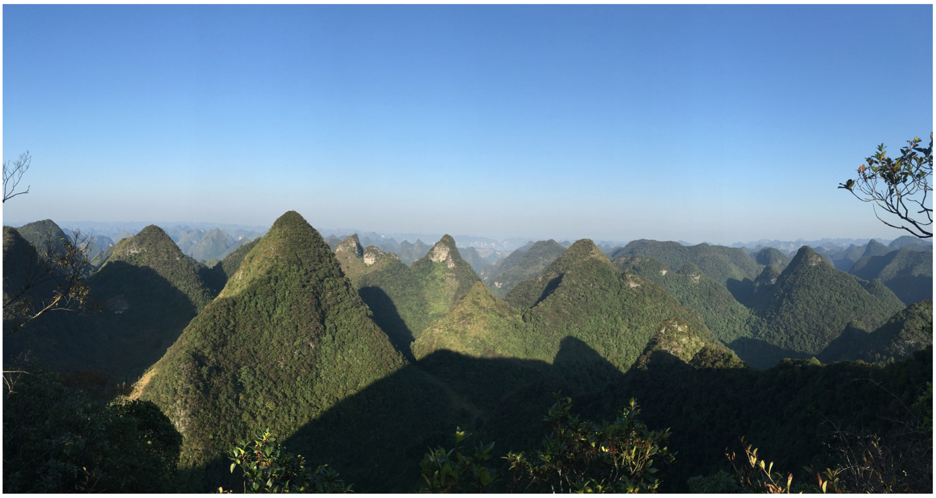 Diversity 13 00355 g001