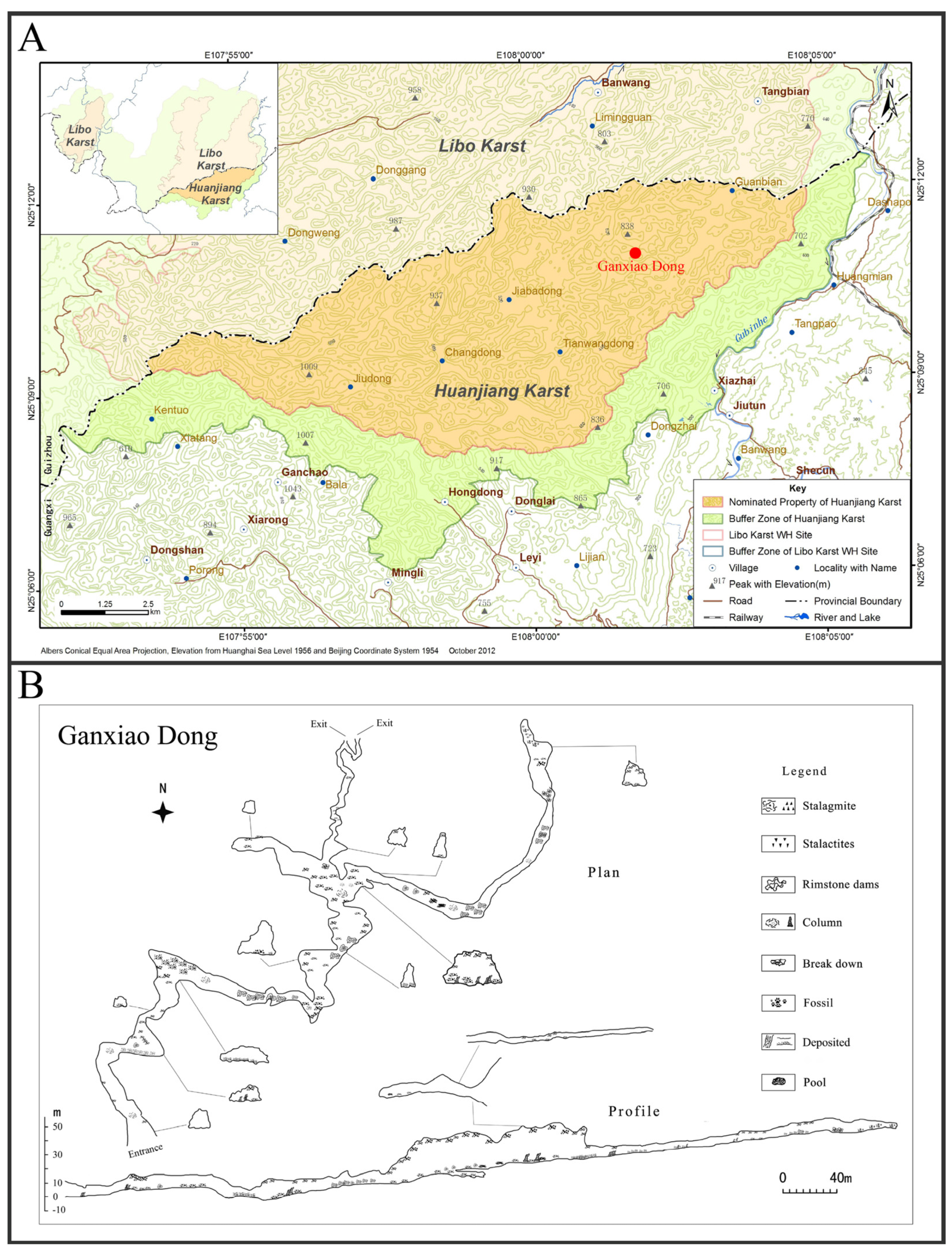 Diversity 13 00355 g002