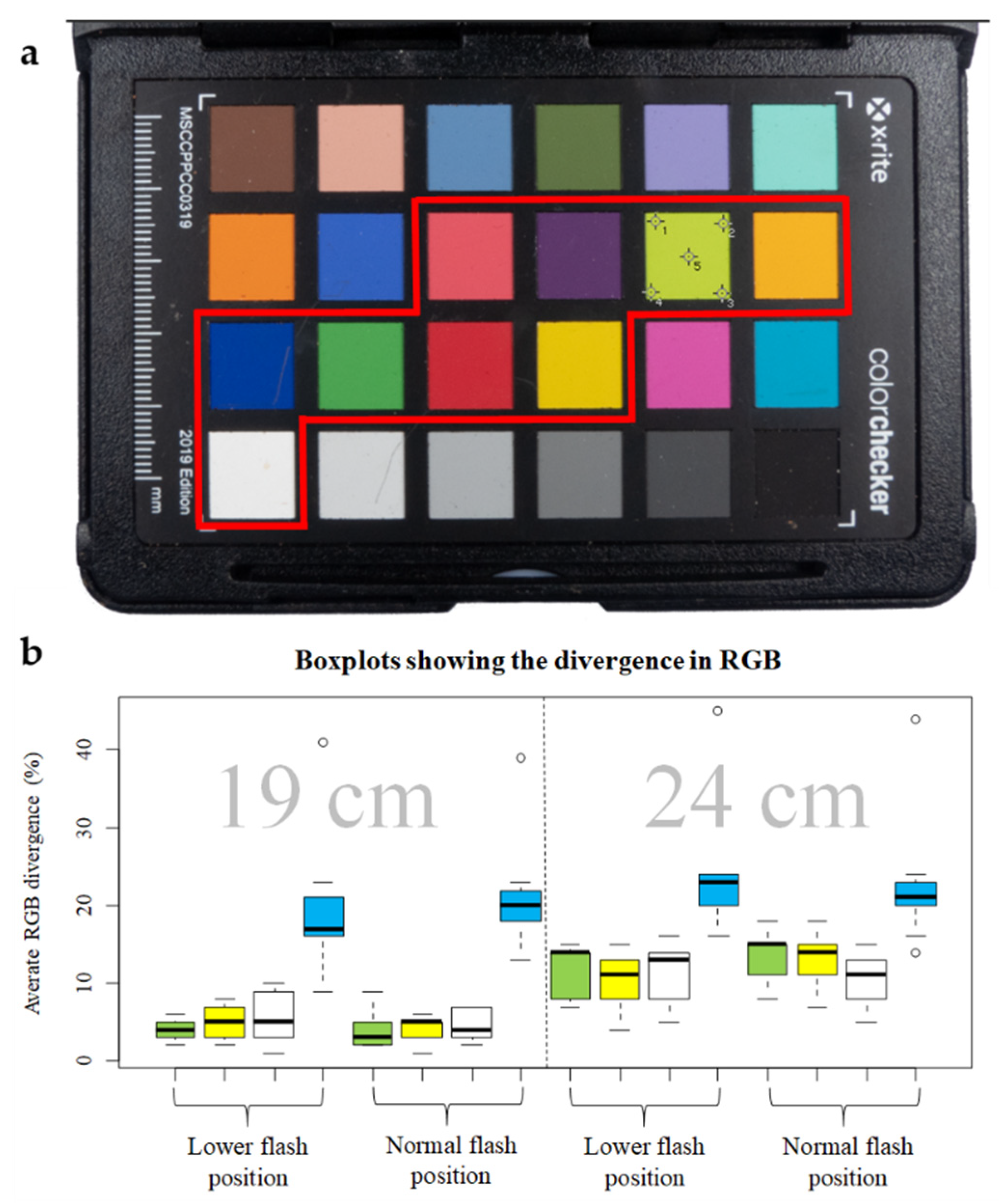 Diversity 13 00356 g002 550