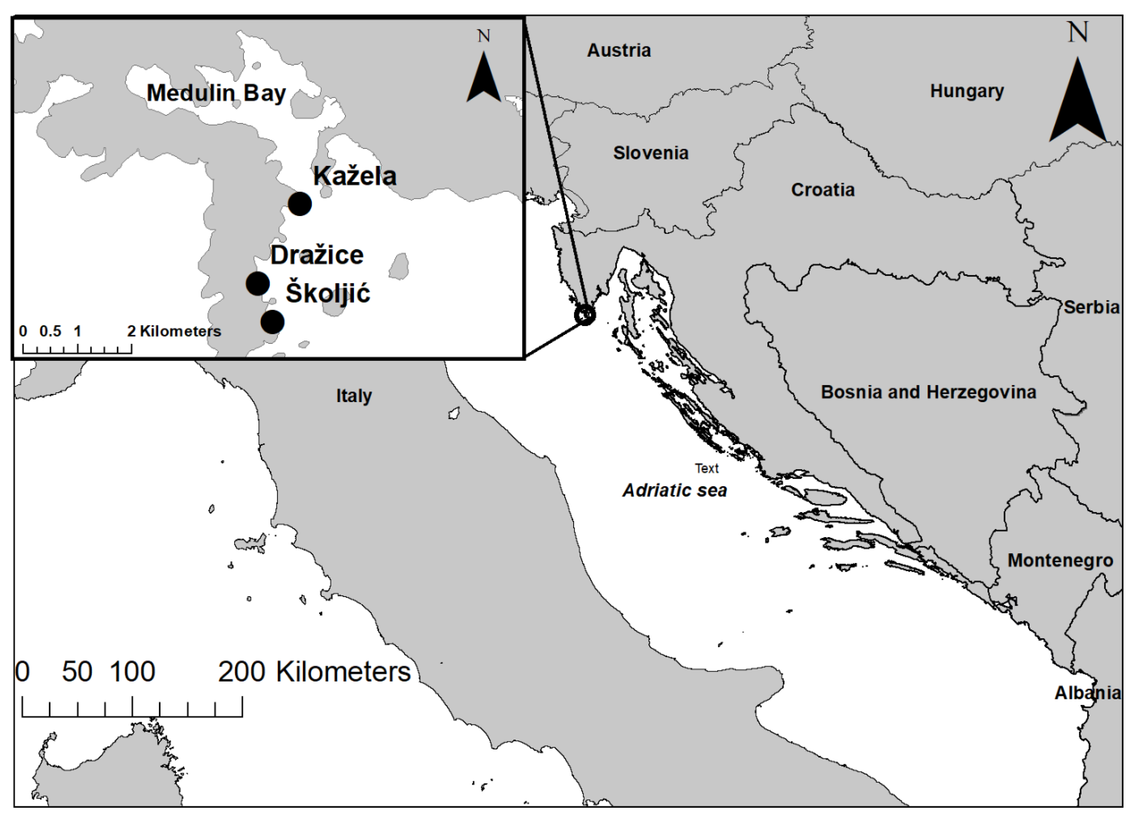 Diversity 13 00357 g001 Diversity 13 00357 g001