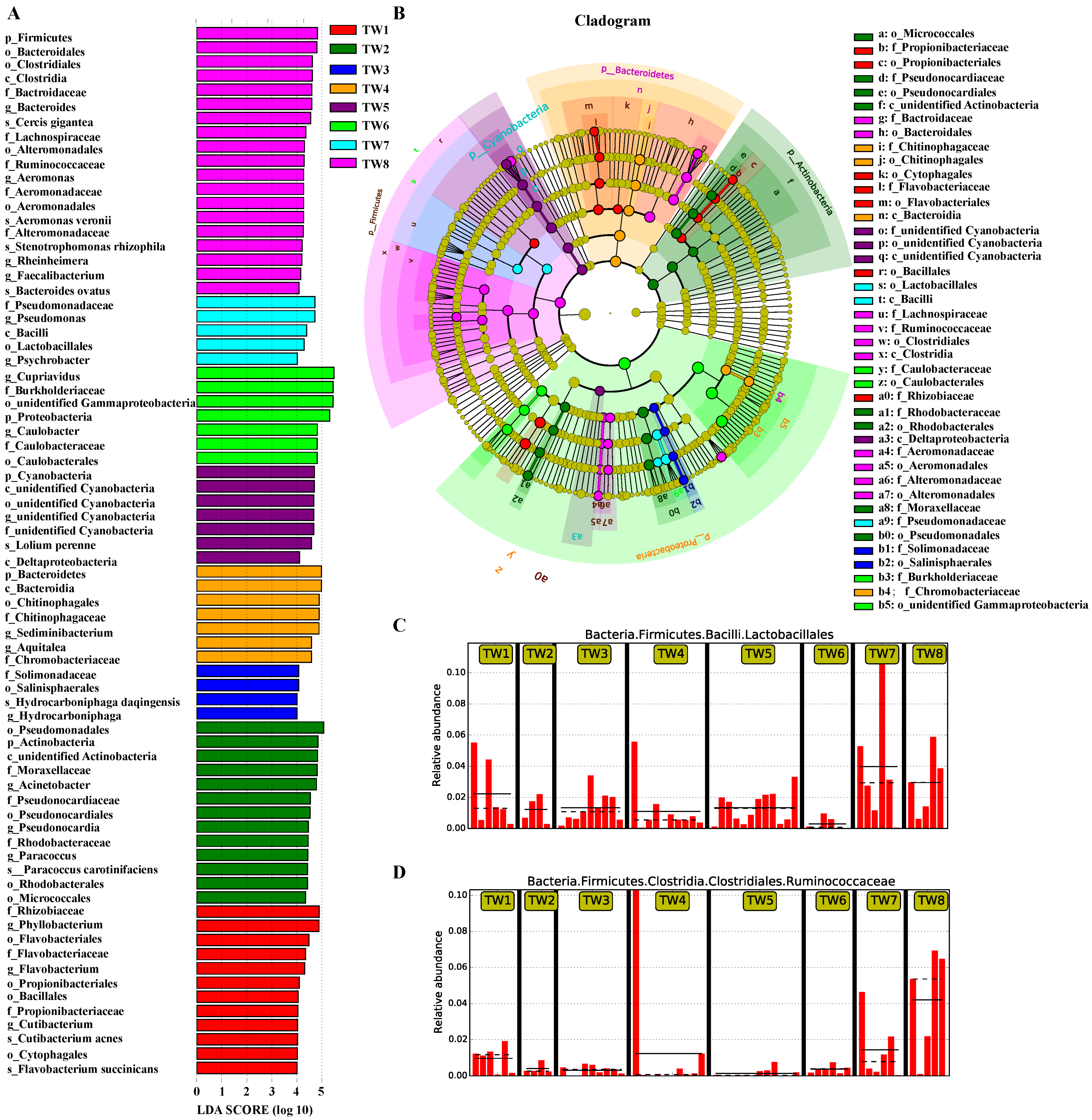 Diversity 13 00361 g004 550