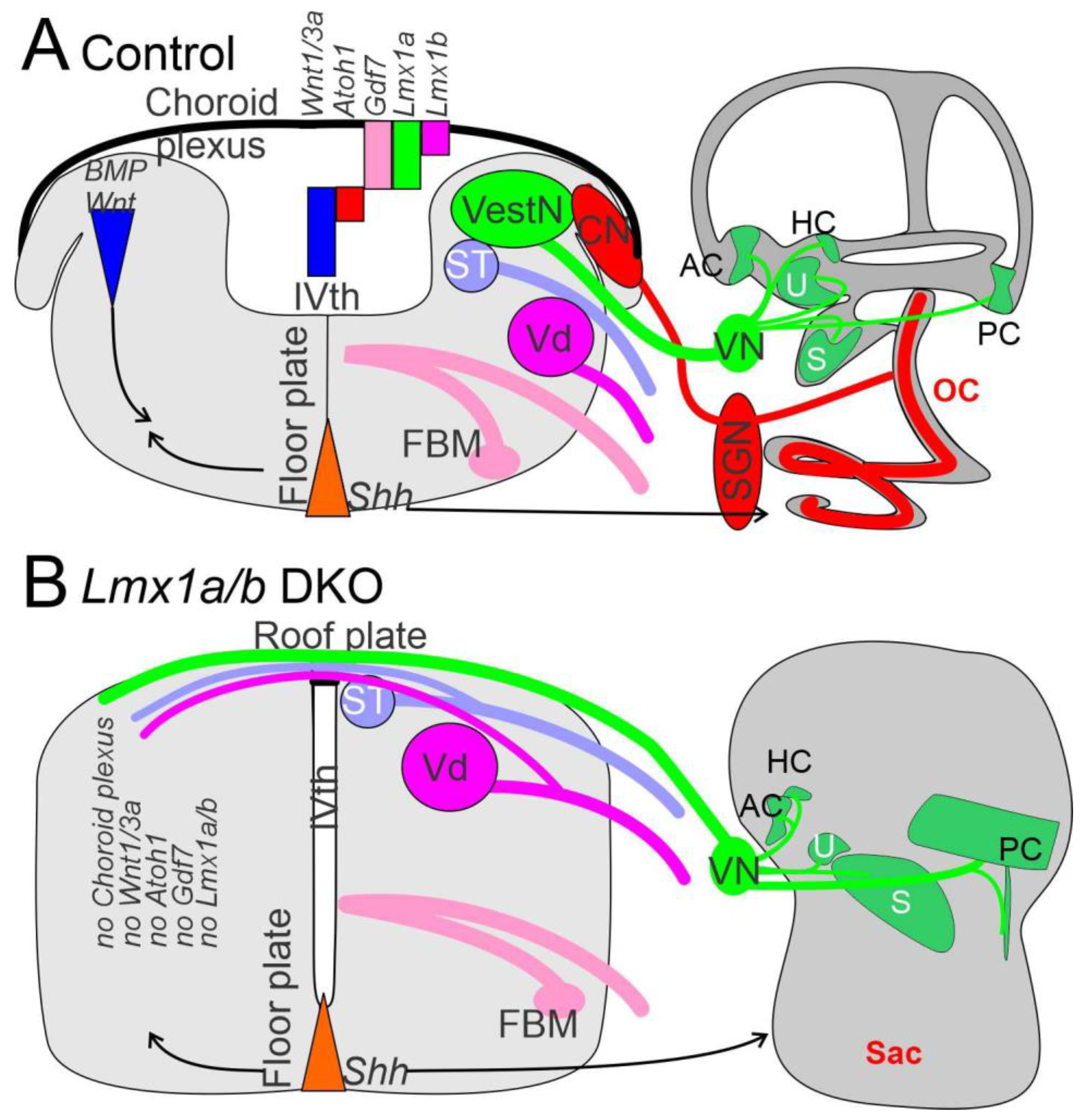 Diversity 13 00364 g006 Diversity 13 00364 g006