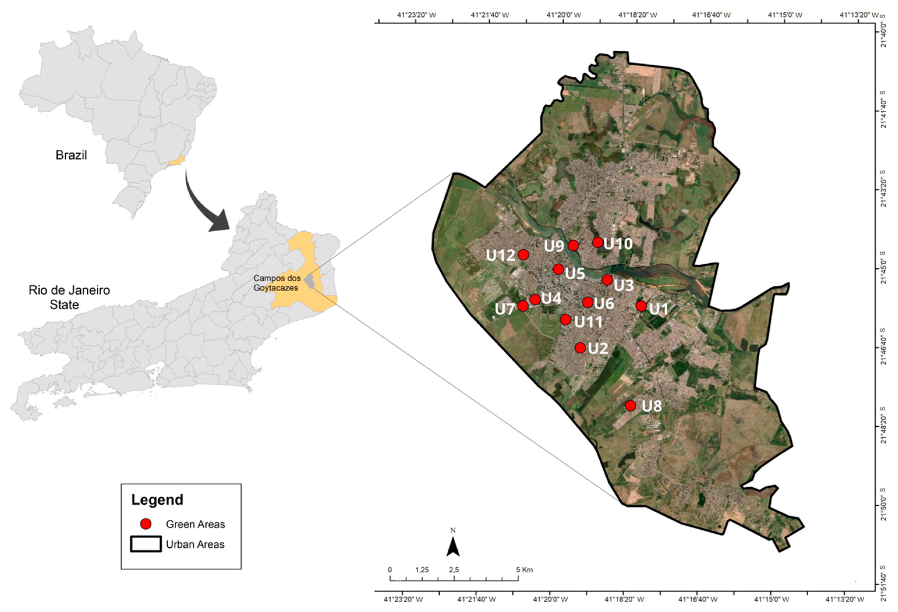 Diversity 13 00365 g001
