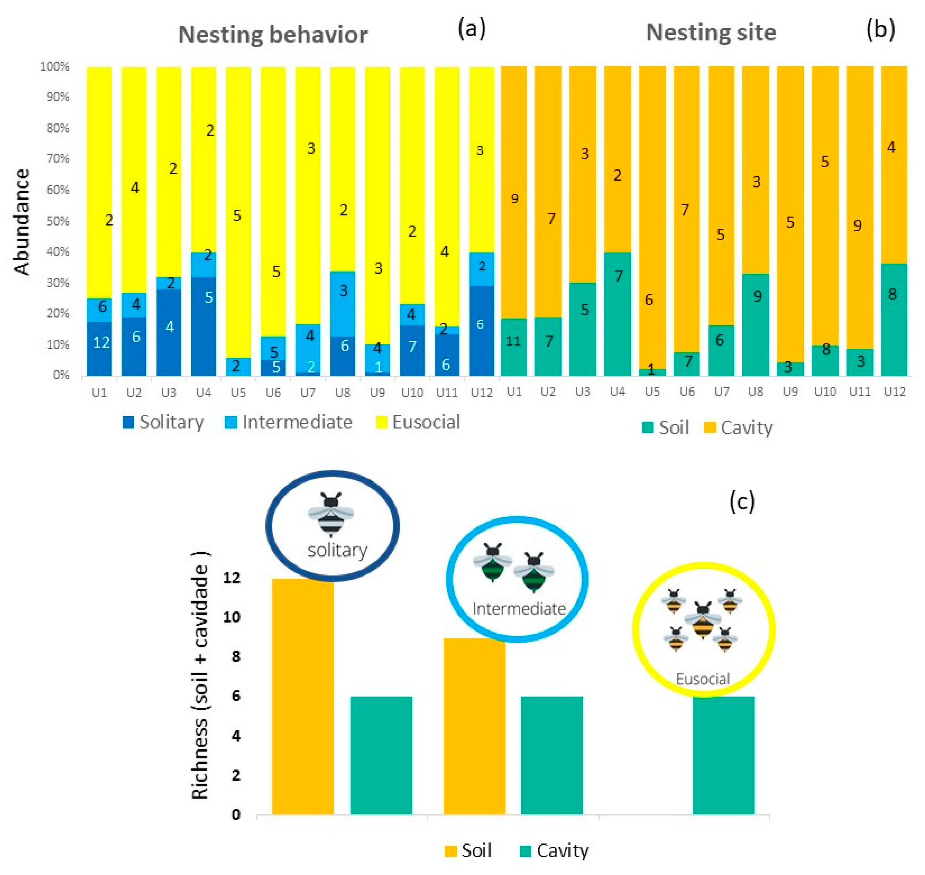 Diversity 13 00365 g002