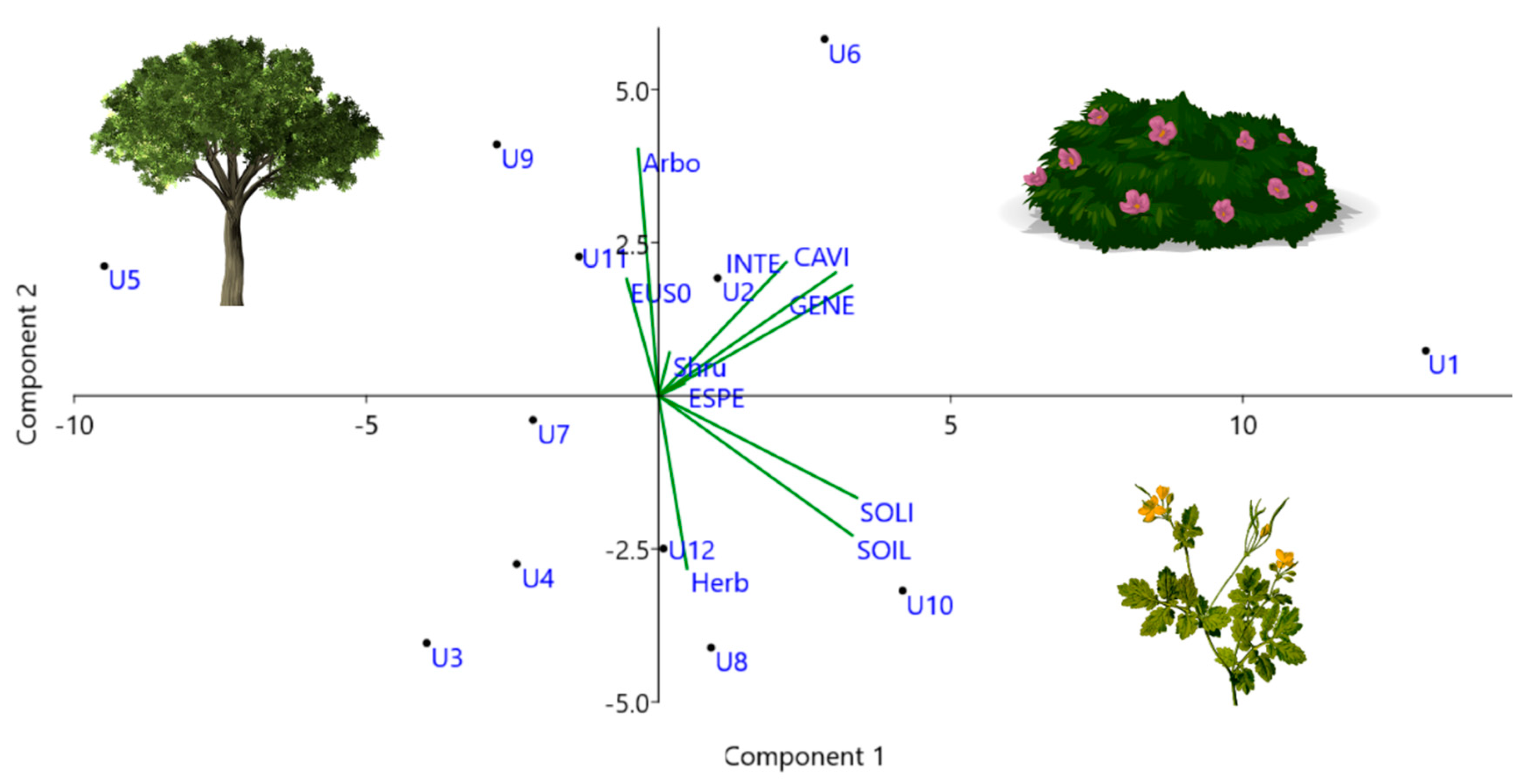 Diversity 13 00365 g003