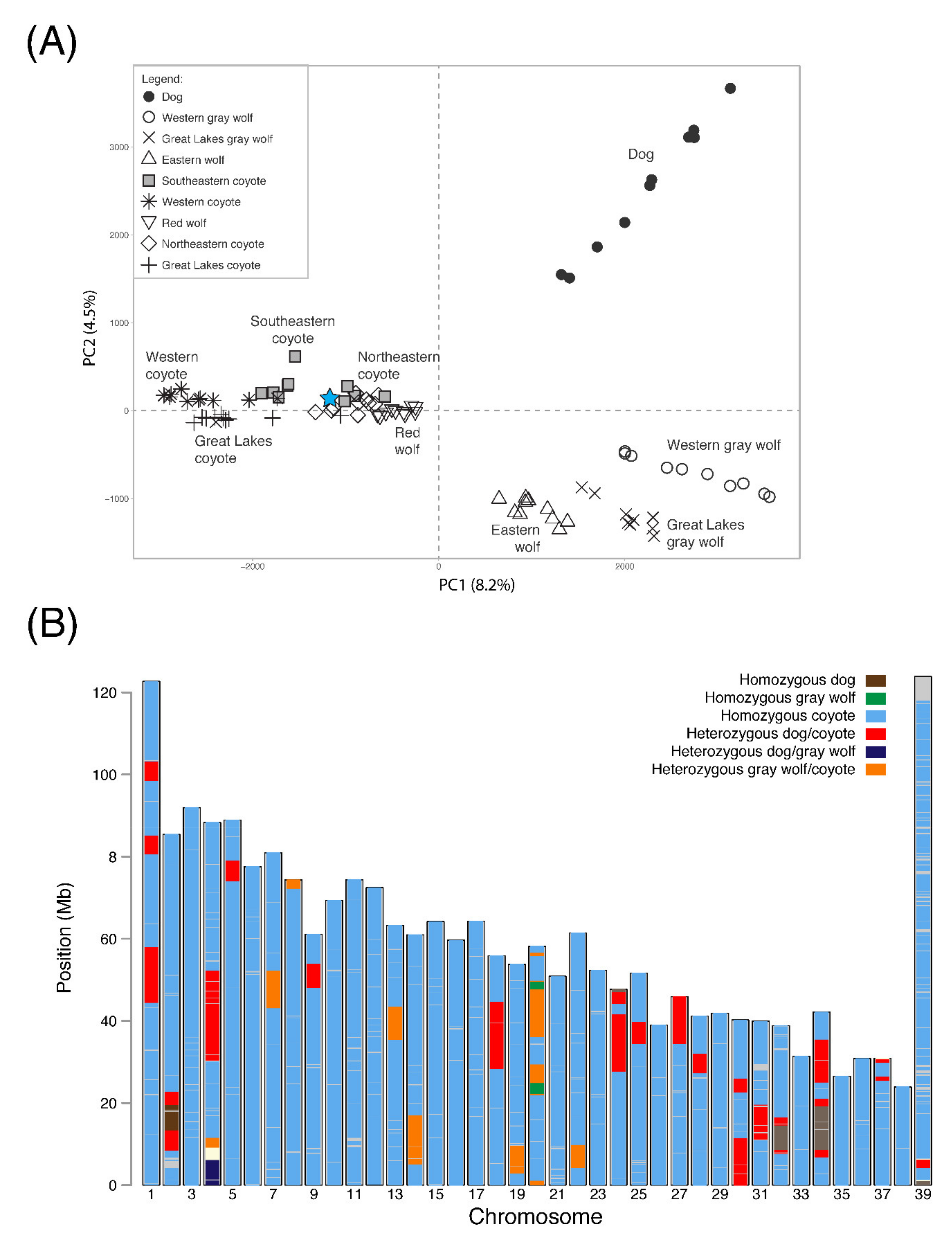 Diversity 13 00372 g002 Diversity 13 00372 g002