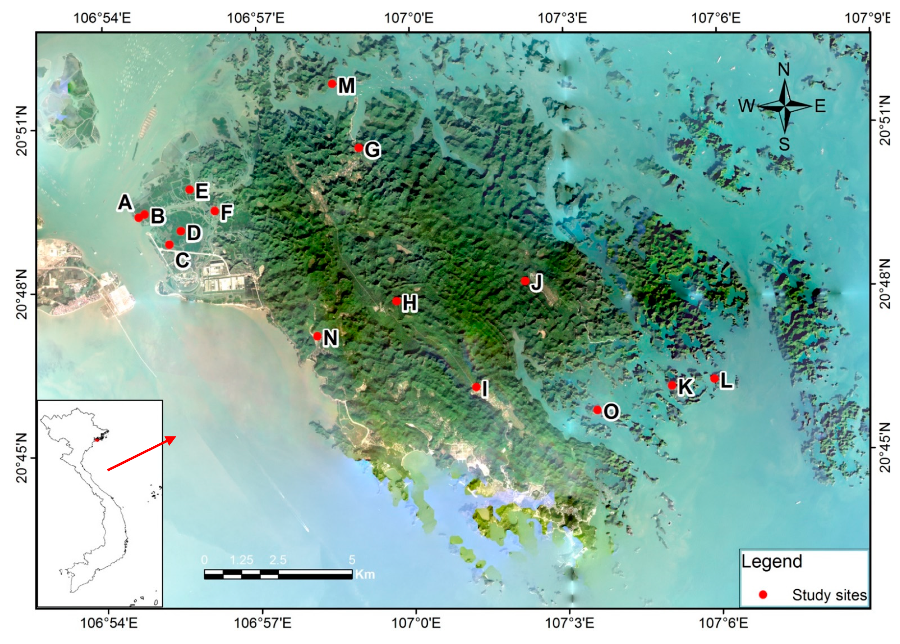 Diversity 13 00376 g001 Diversity 13 00376 g001