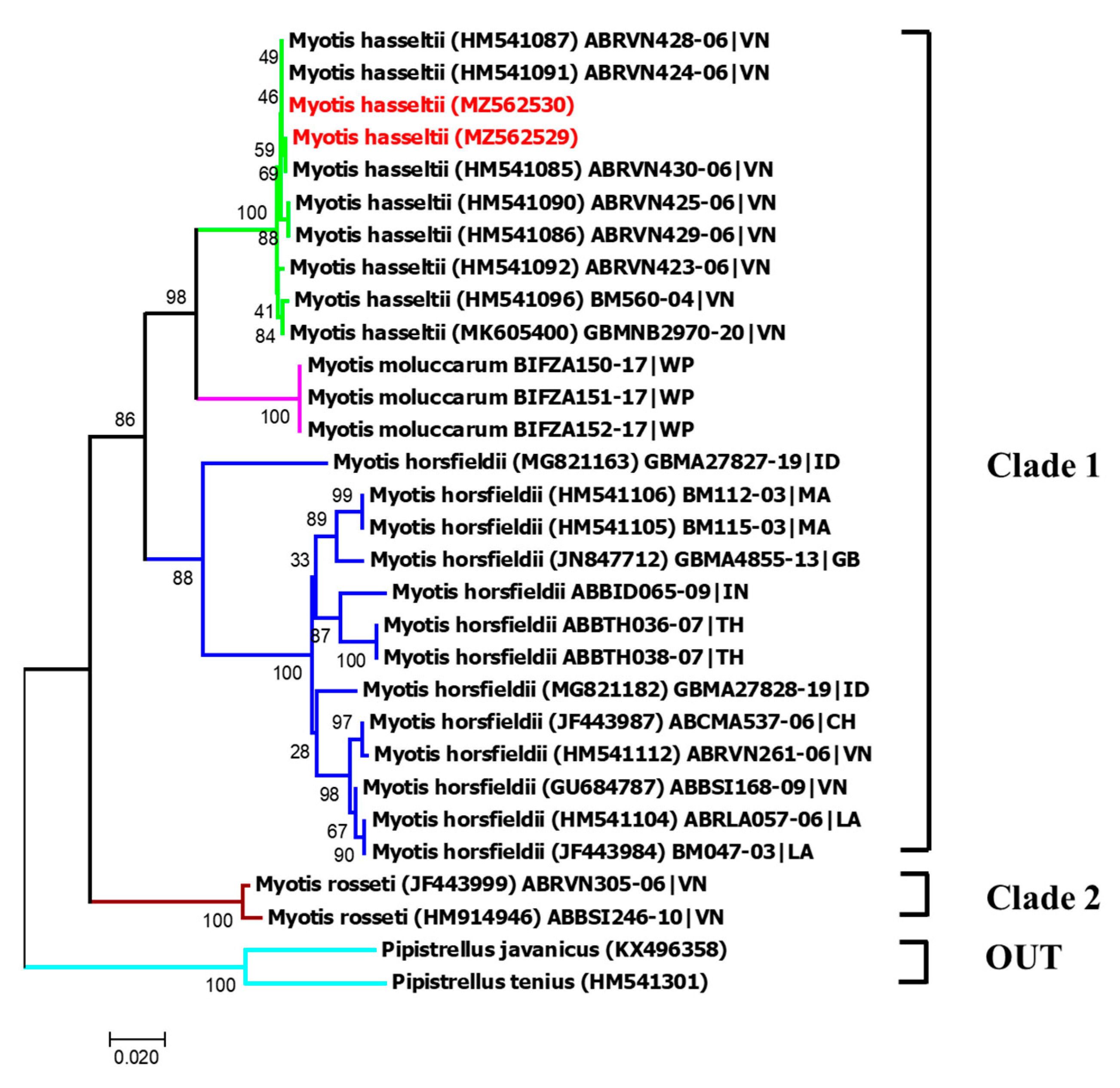 Diversity 13 00376 g019 Diversity 13 00376 g019
