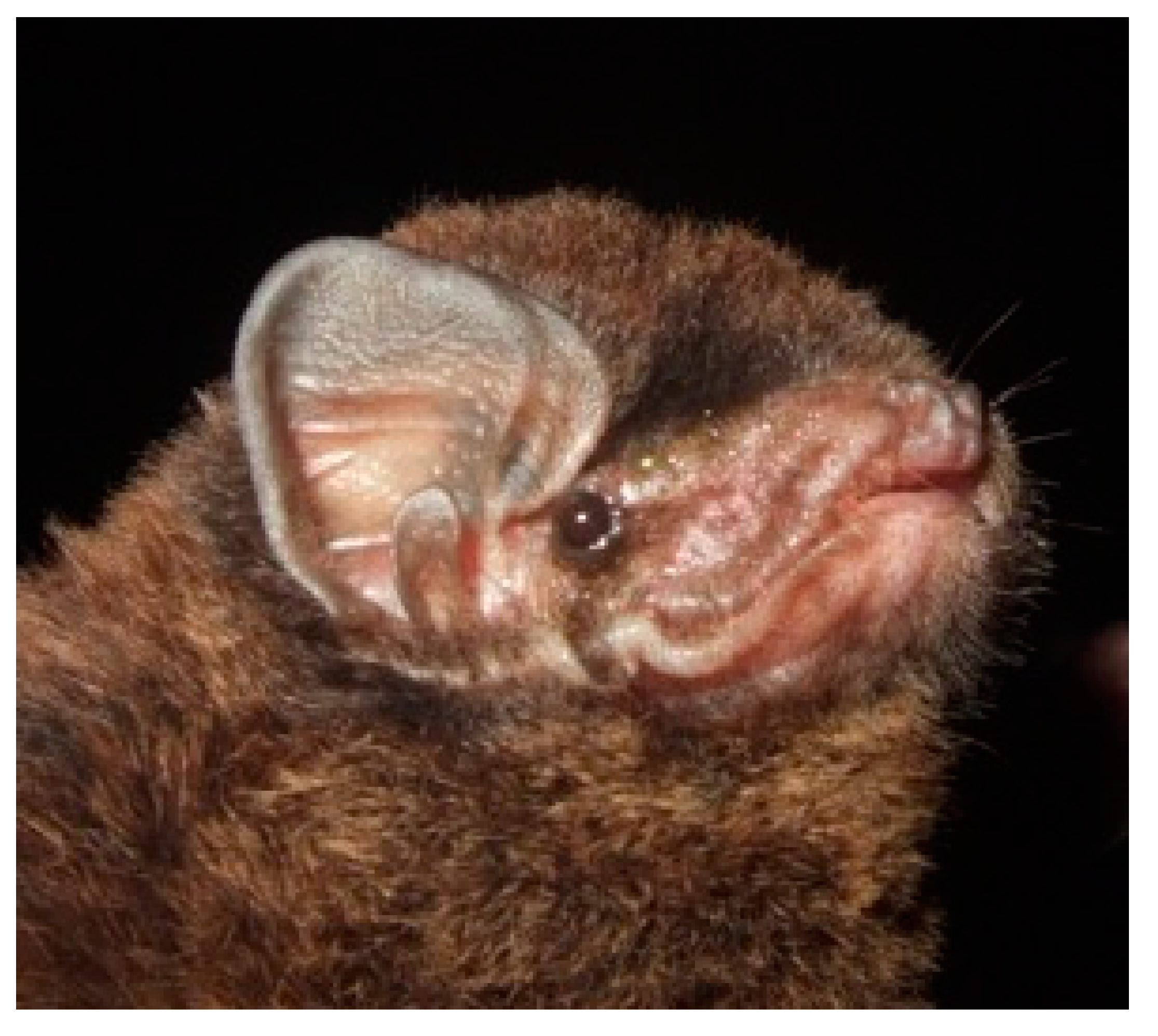 Diversity 13 00376 g025 Diversity 13 00376 g025