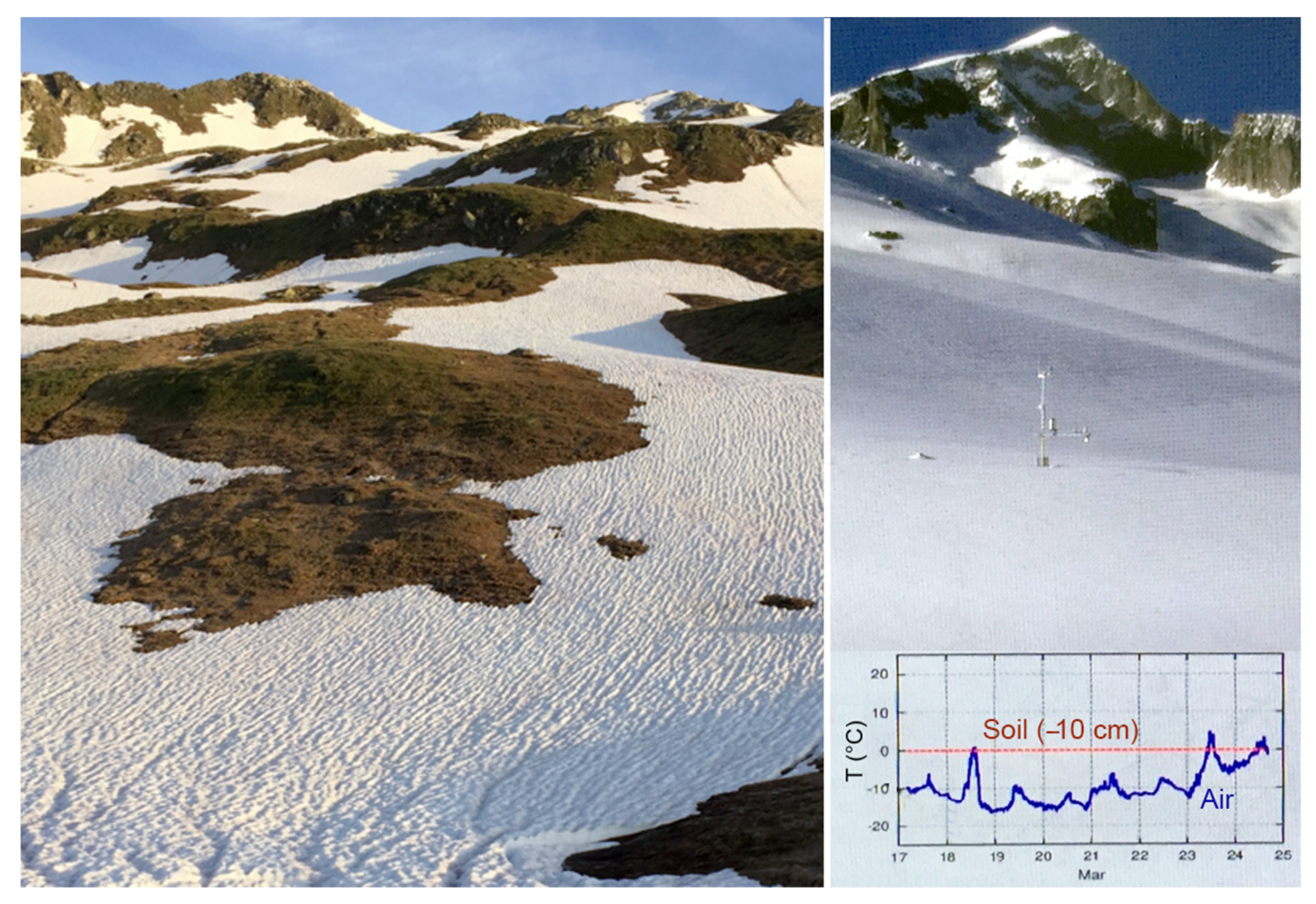 Diversity 13 00383 g002 Diversity 13 00383 g002