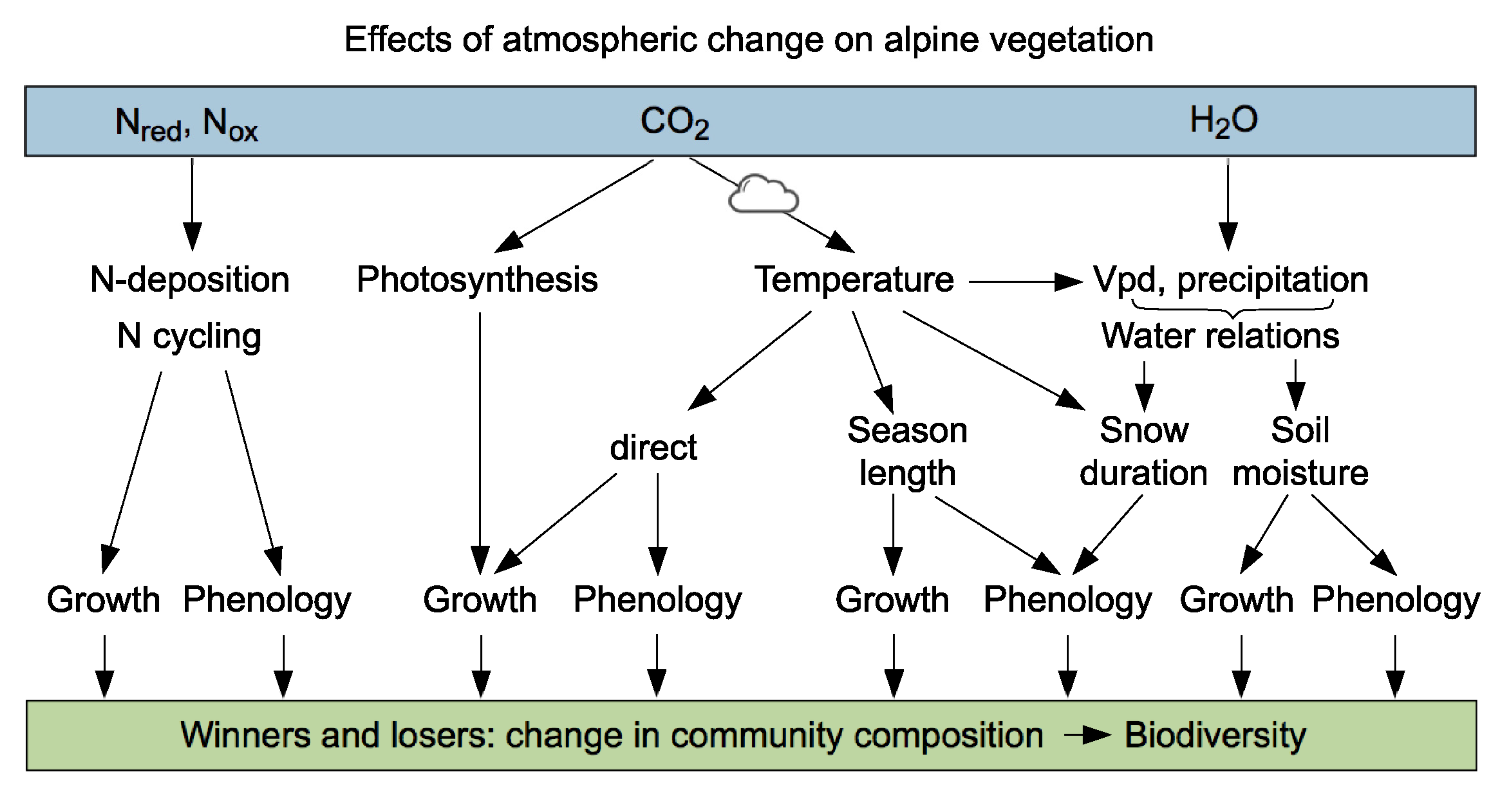 Diversity 13 00383 g004 Diversity 13 00383 g004
