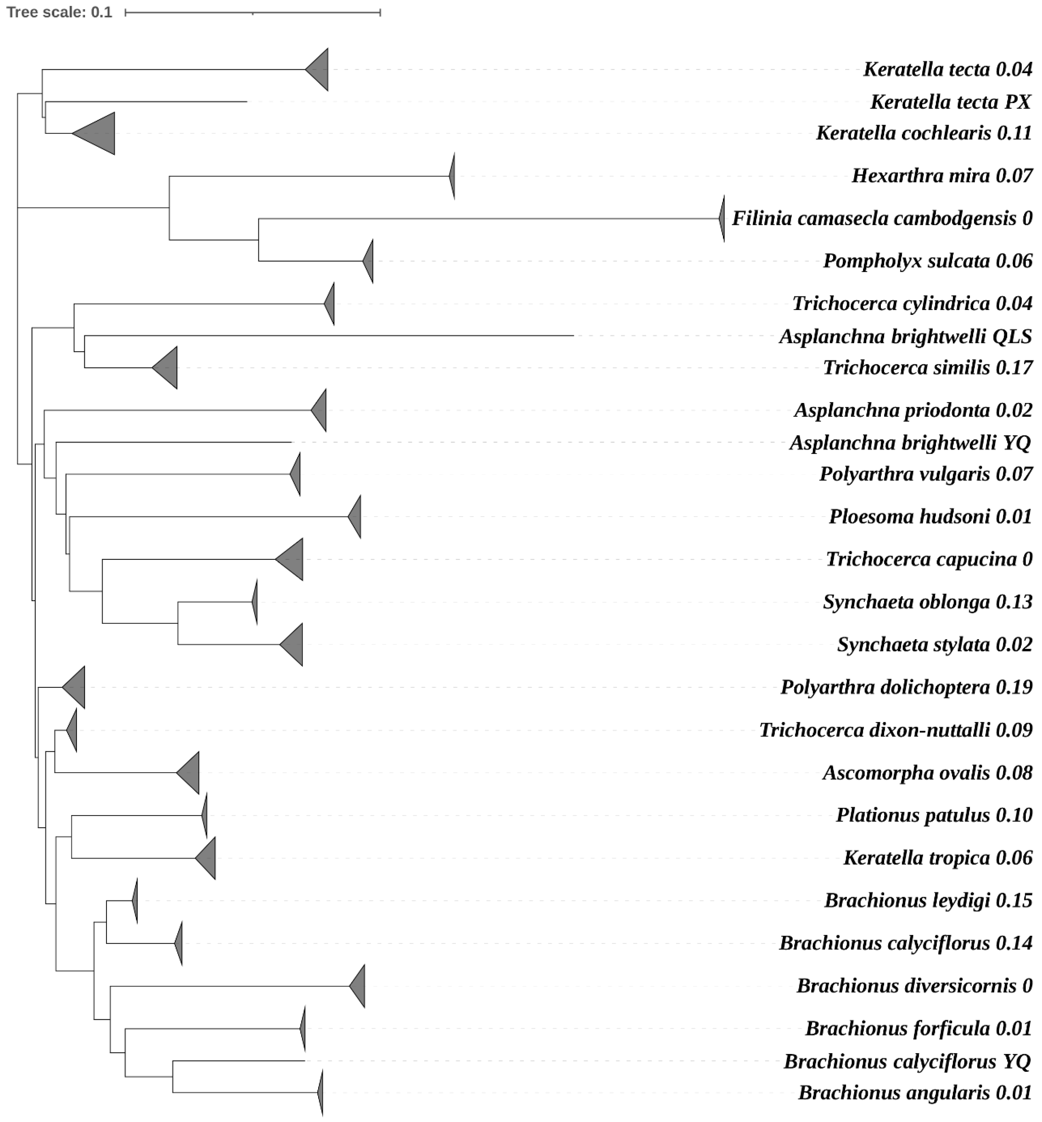 Diversity 13 00390 g004