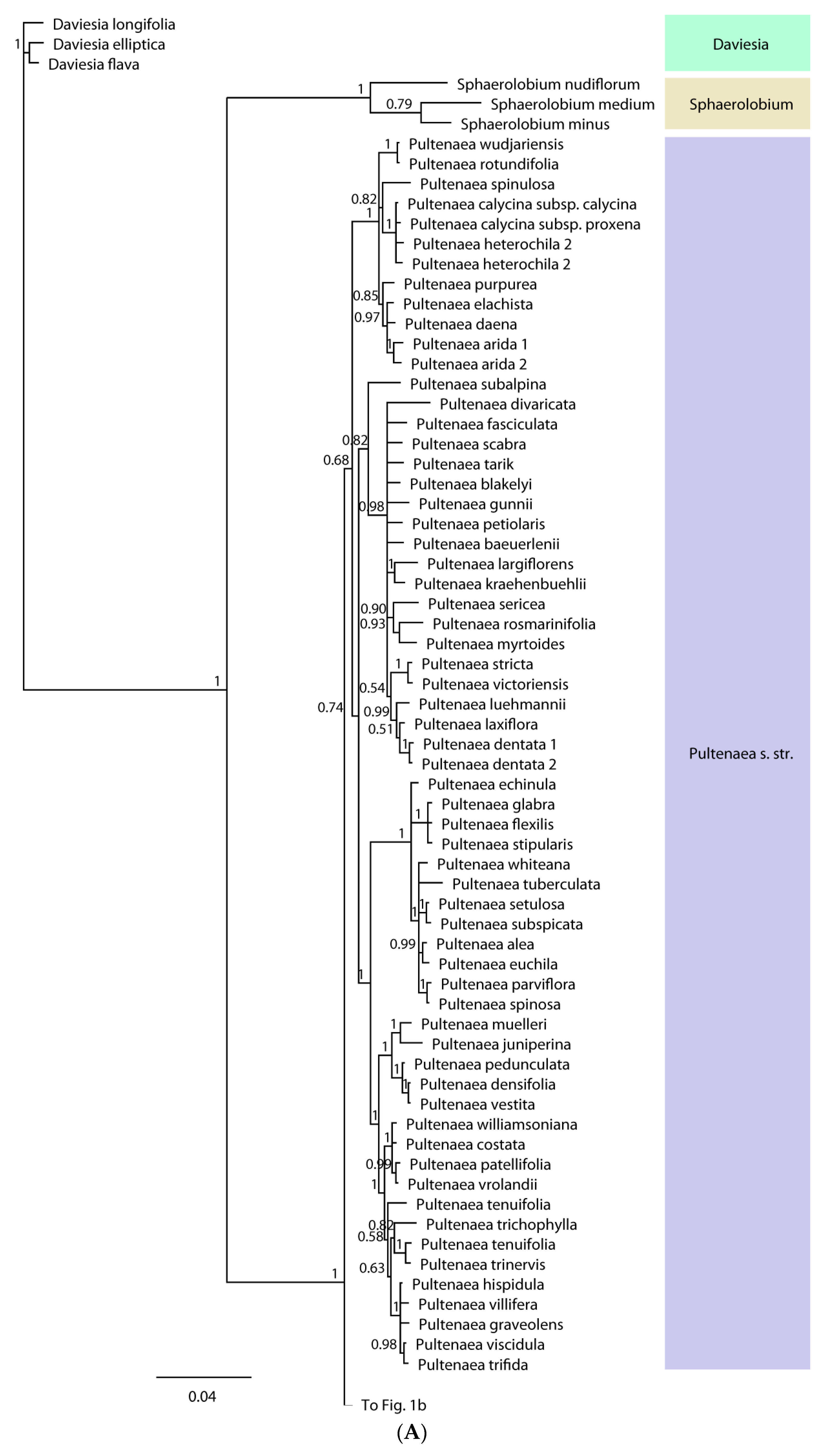 Diversity 13 00391 g001a Diversity 13 00391 g001a