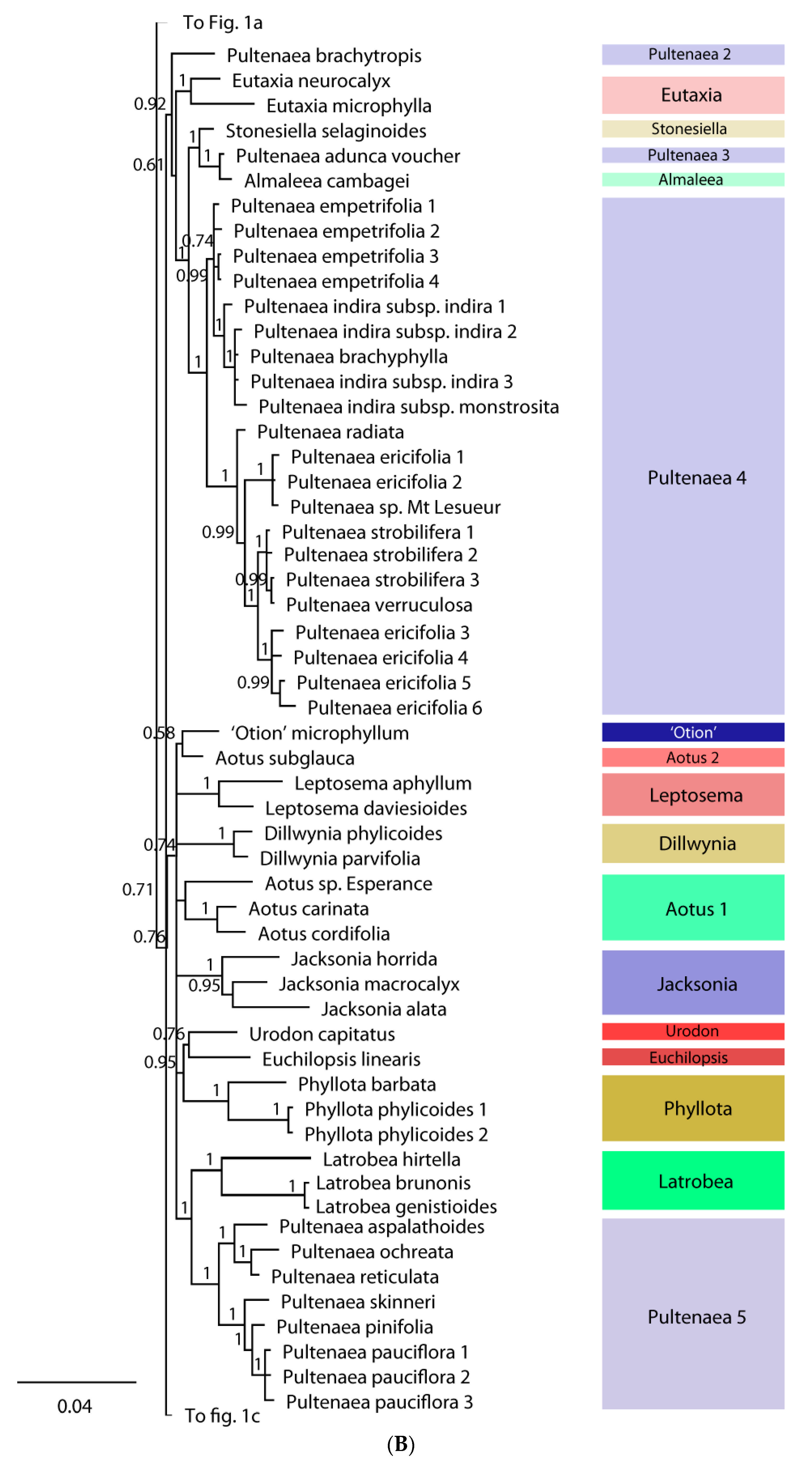 Diversity 13 00391 g001b Diversity 13 00391 g001b