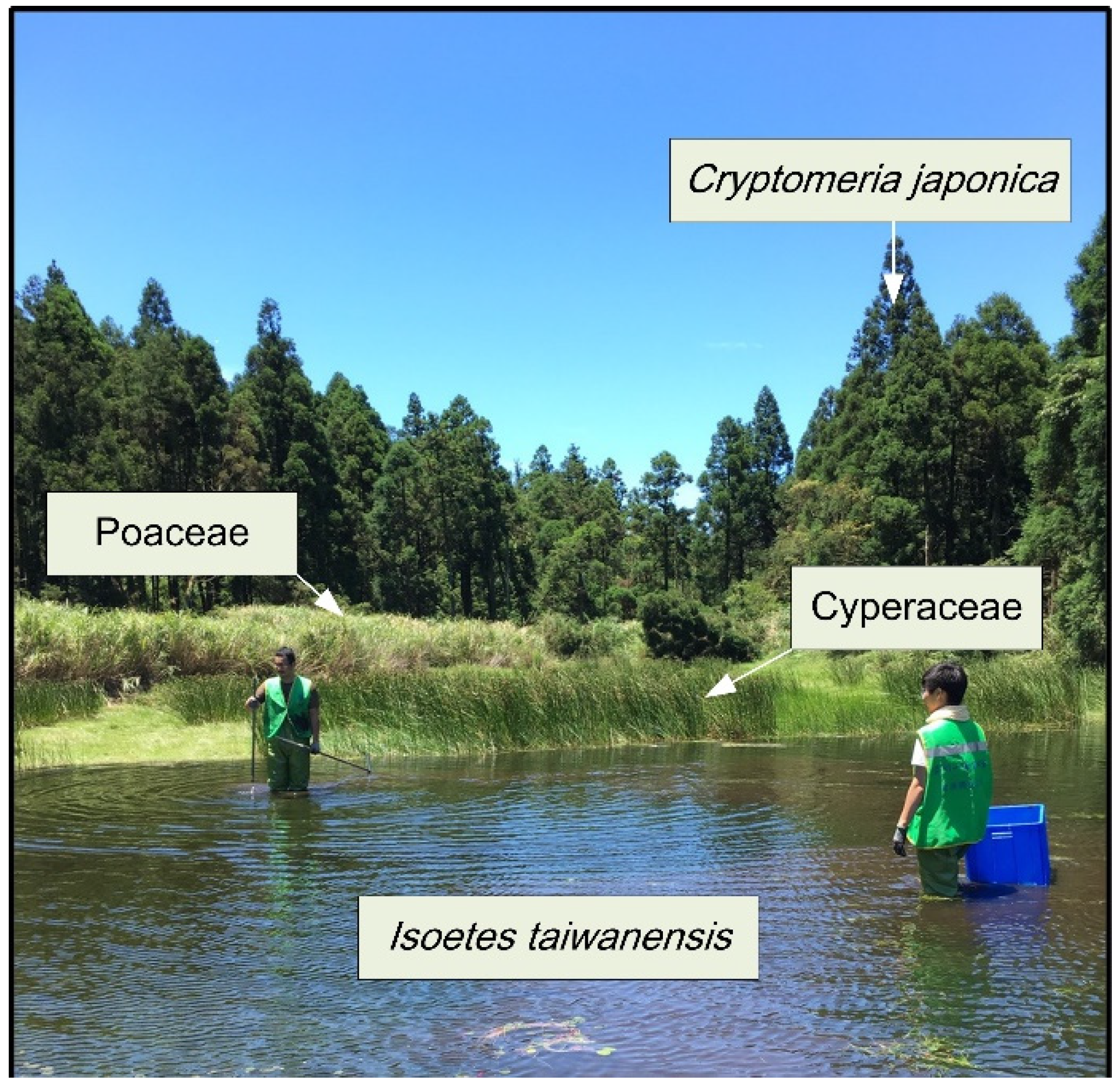 Diversity 13 00395 g003 Diversity 13 00395 g003