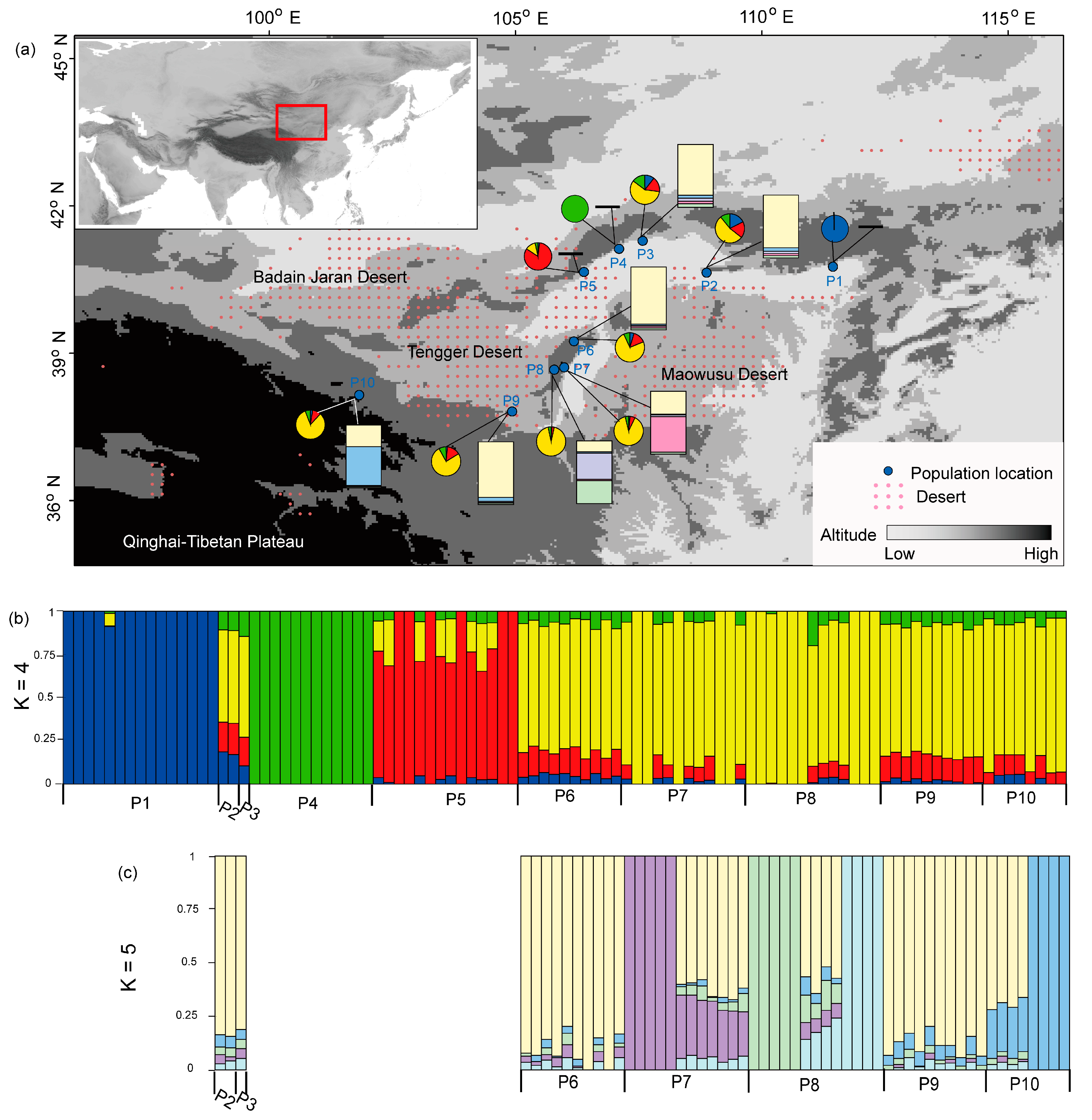 Diversity 13 00397 g001