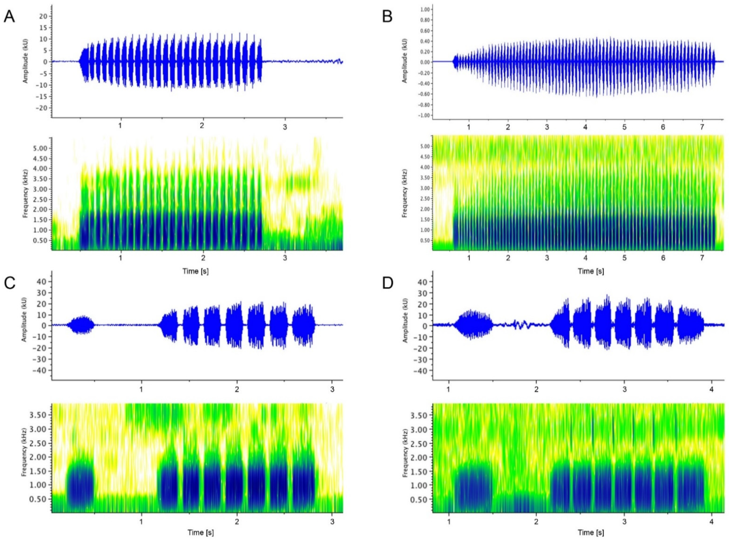 diversity free full text bioacoustics reveal hidden diversity in frogs two new species of the genus limnonectes from myanmar amphibia anura dicroglossidae html